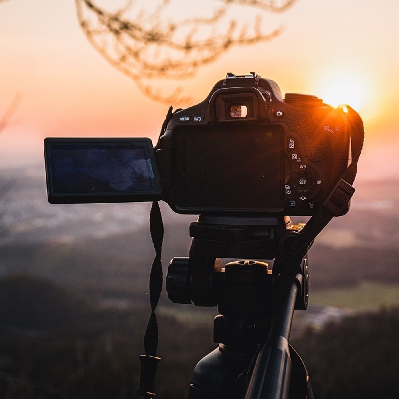 Explorando la Fotografía de Proyectos