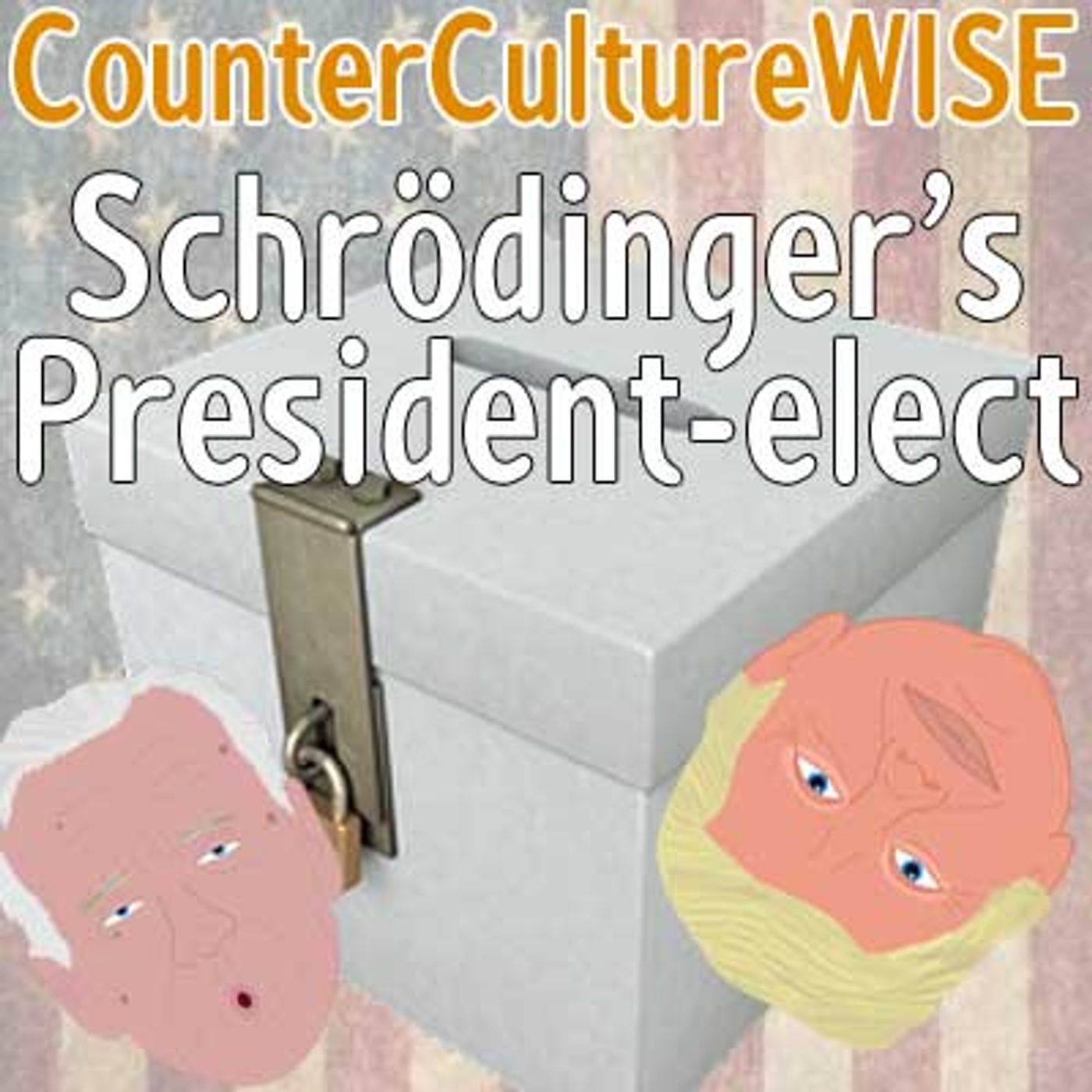 CounterCultureWISE