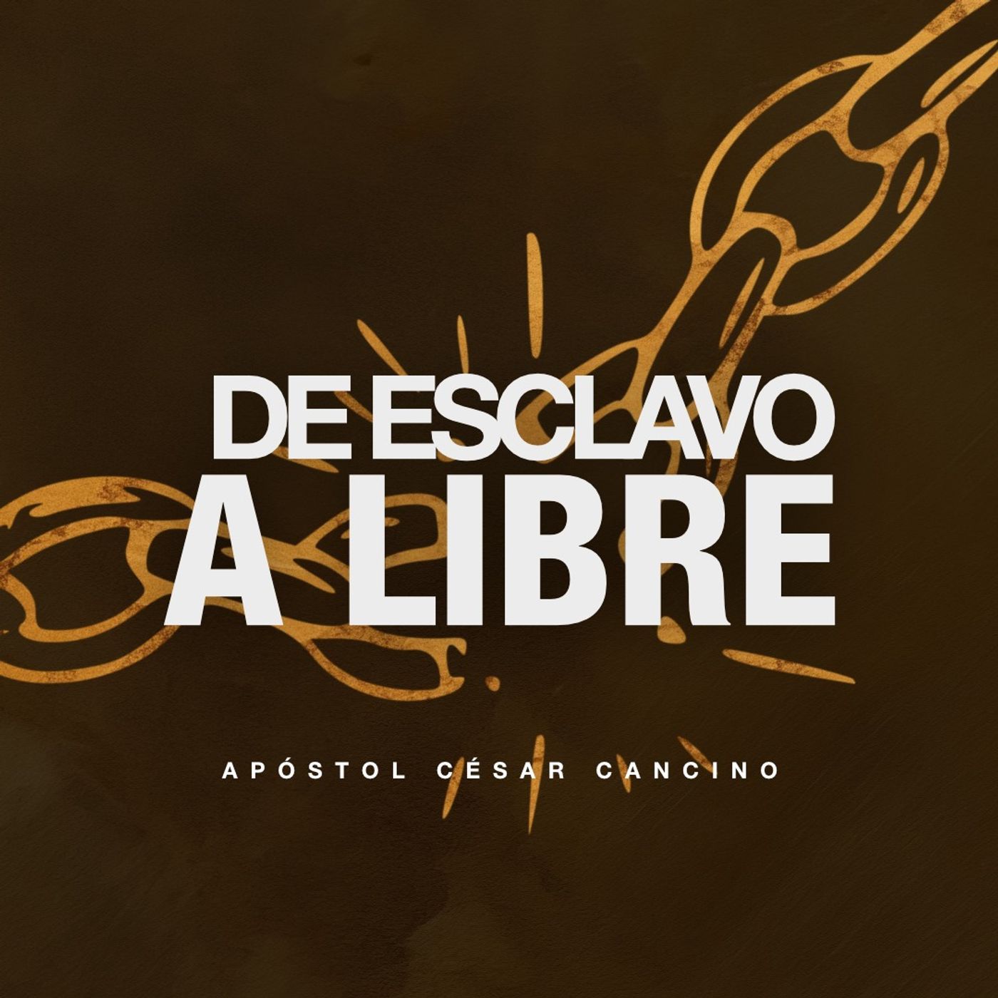 De esclavo a libre. episode artwork
