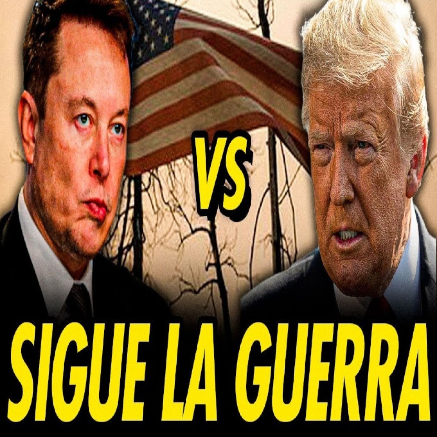 TRUMP VS ELON MUSK: LA ULTRADERECHA ESTALLA POR DENTRO episode artwork