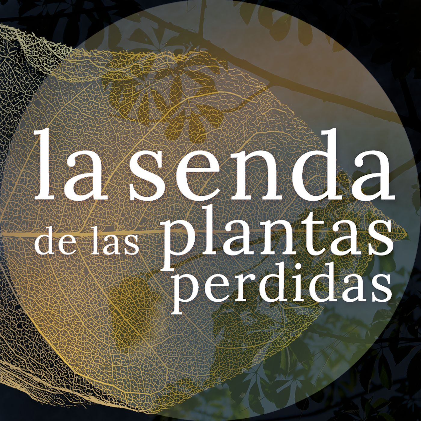 La Senda de las Plantas Perdidas