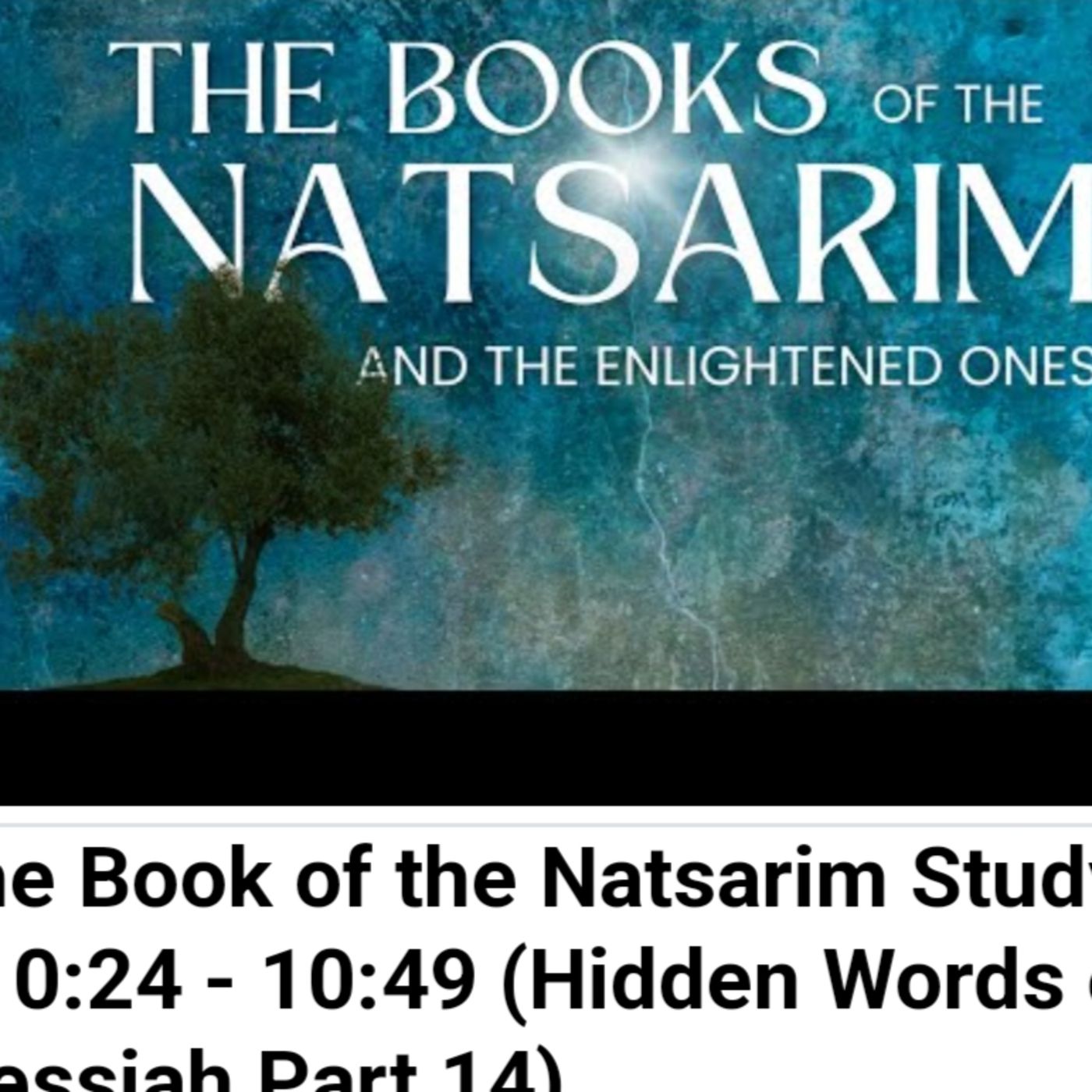 The Book of the Natsarim Study - 10:24 - 10:49 (Hidden Words of Messiah Part 14) episode artwork