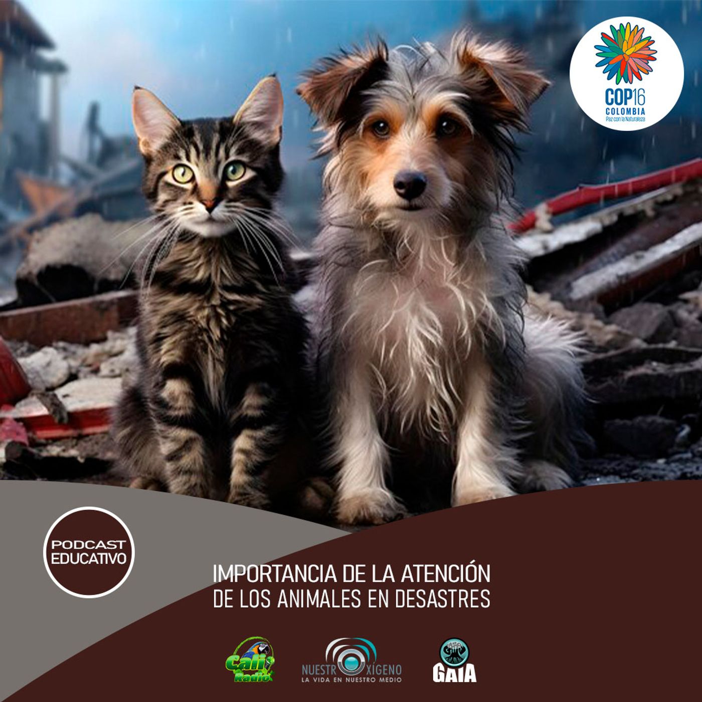 2024 Nuestro Oxigeno 08- Agosto