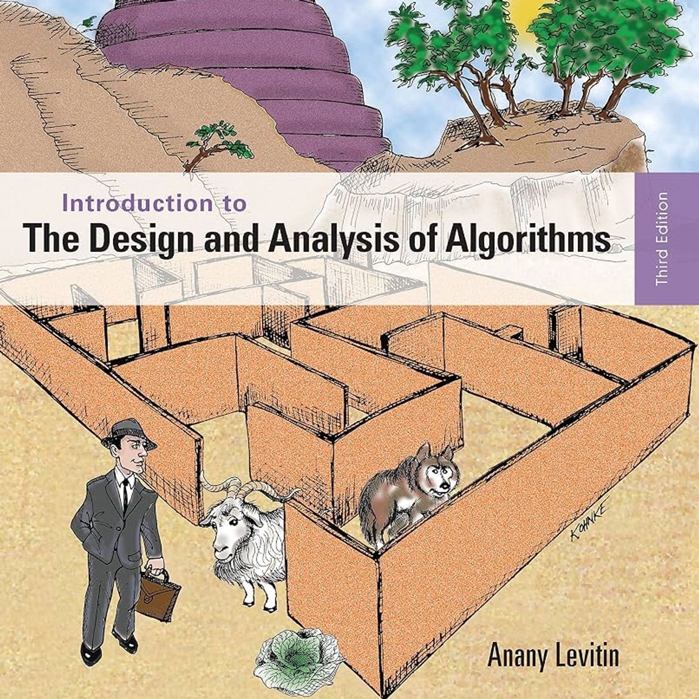 Introduction to the Design and Analysis of Algorithms
