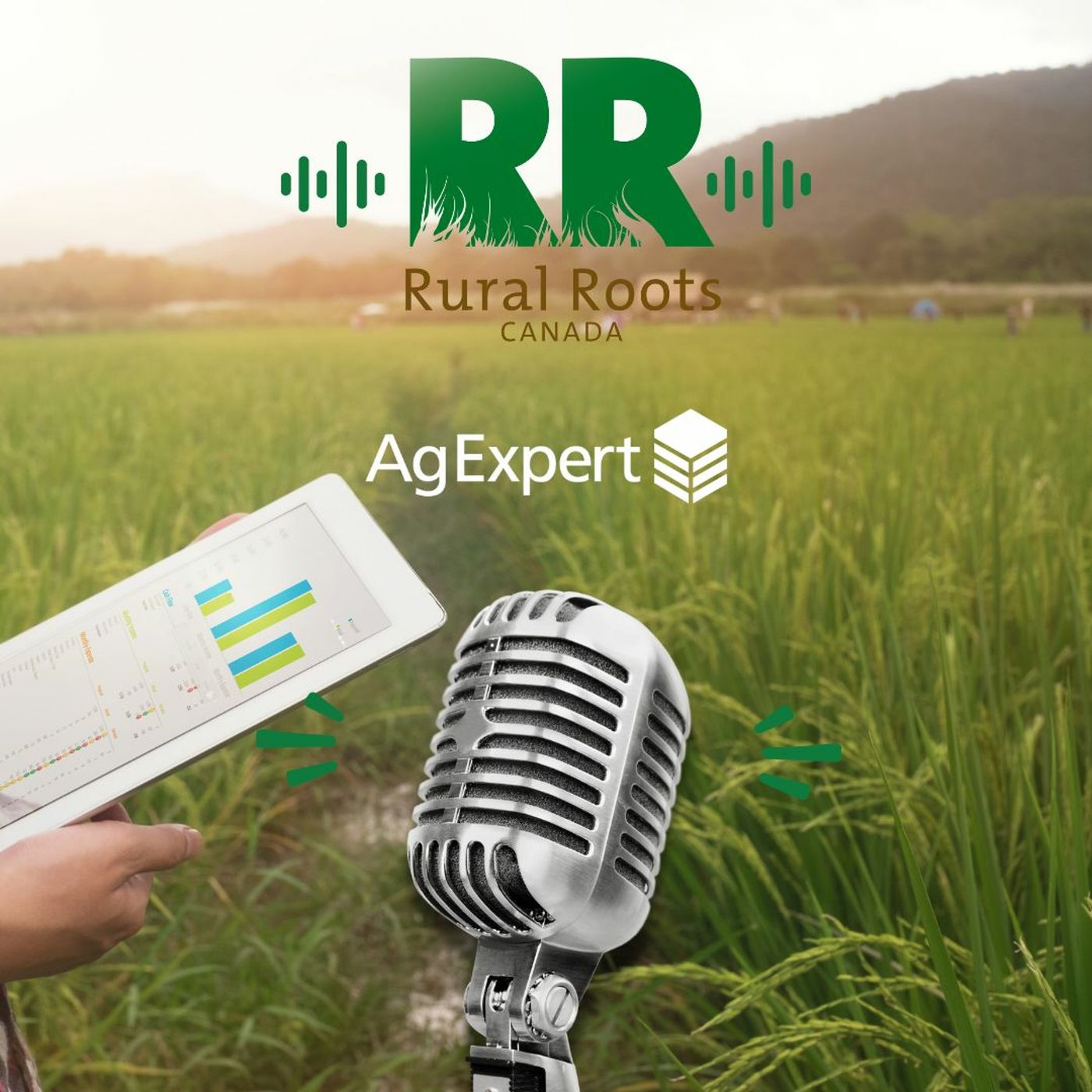 FCC AgExpert: Online Farm Record Security and Developing a Network episode artwork