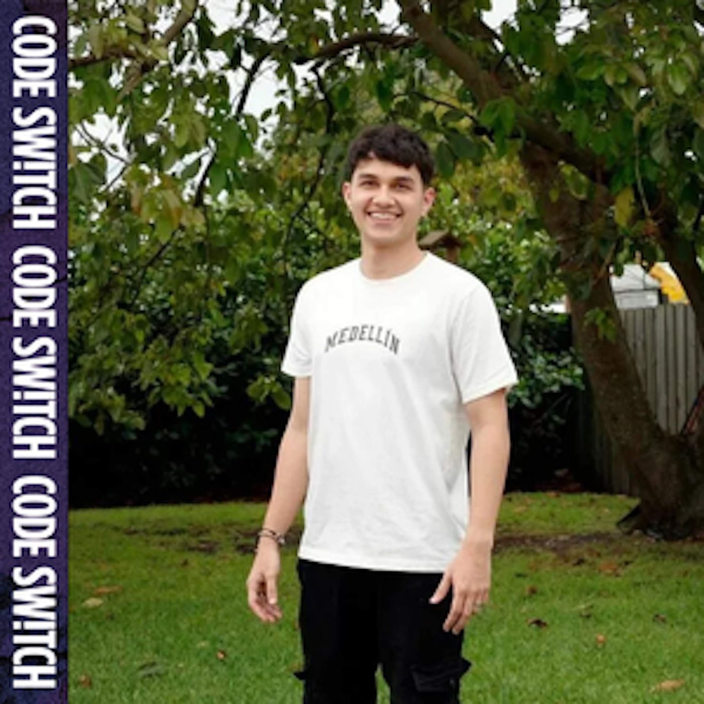 Going back to school with schizoaffective disorder episode artwork