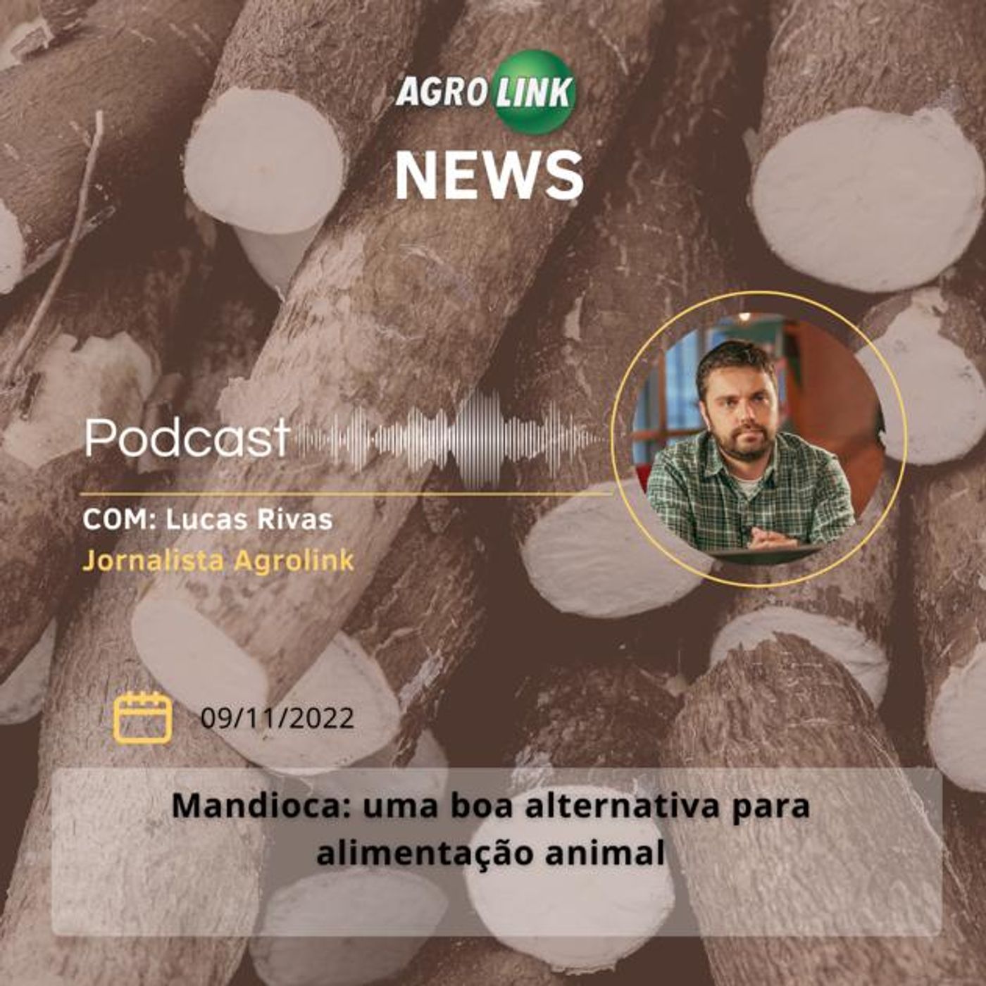 Abate de bovinos no Brasil cresce 8% no terceiro trimestre episode artwork