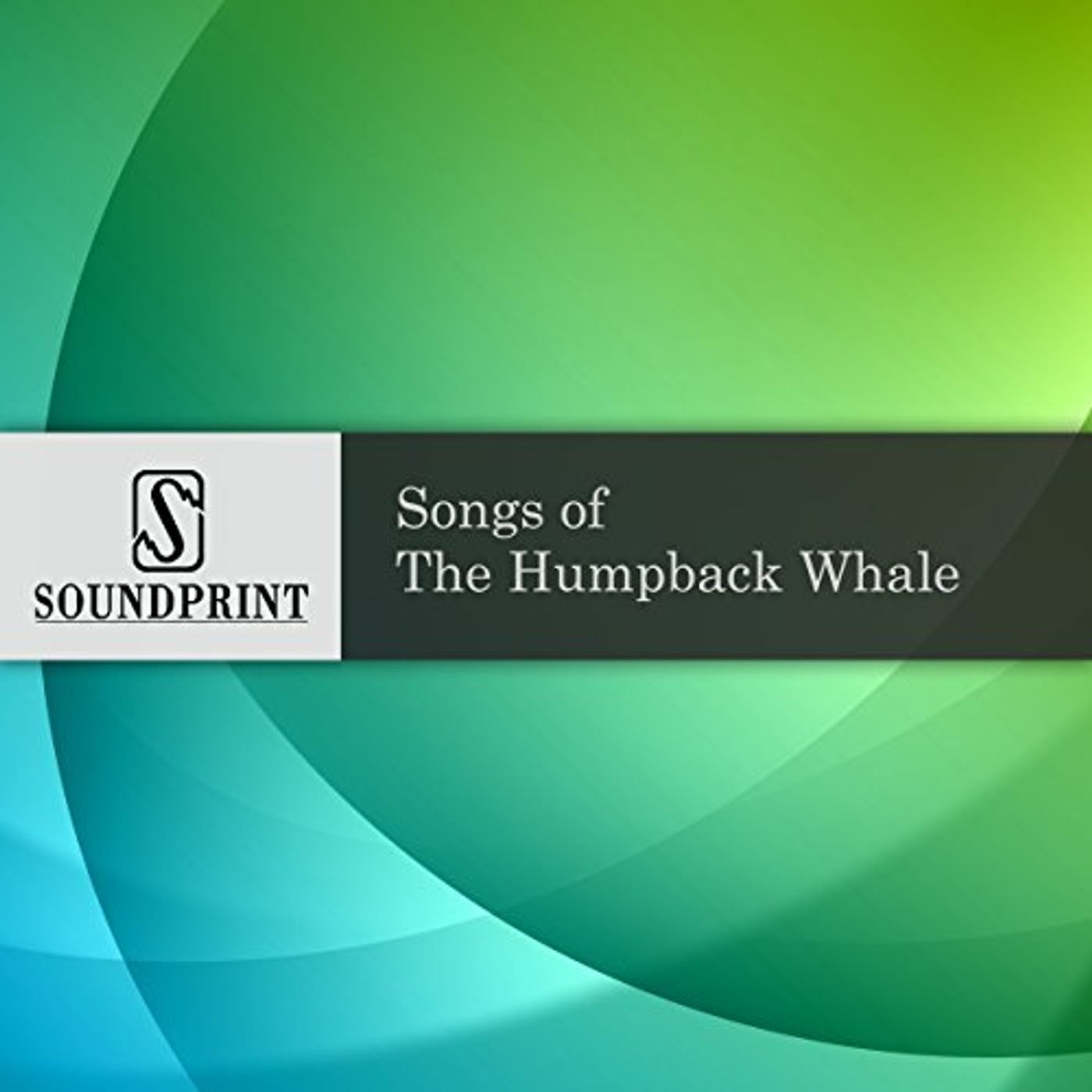 Discover the New Releases Audiobooks in Radio & TV, Documentaries