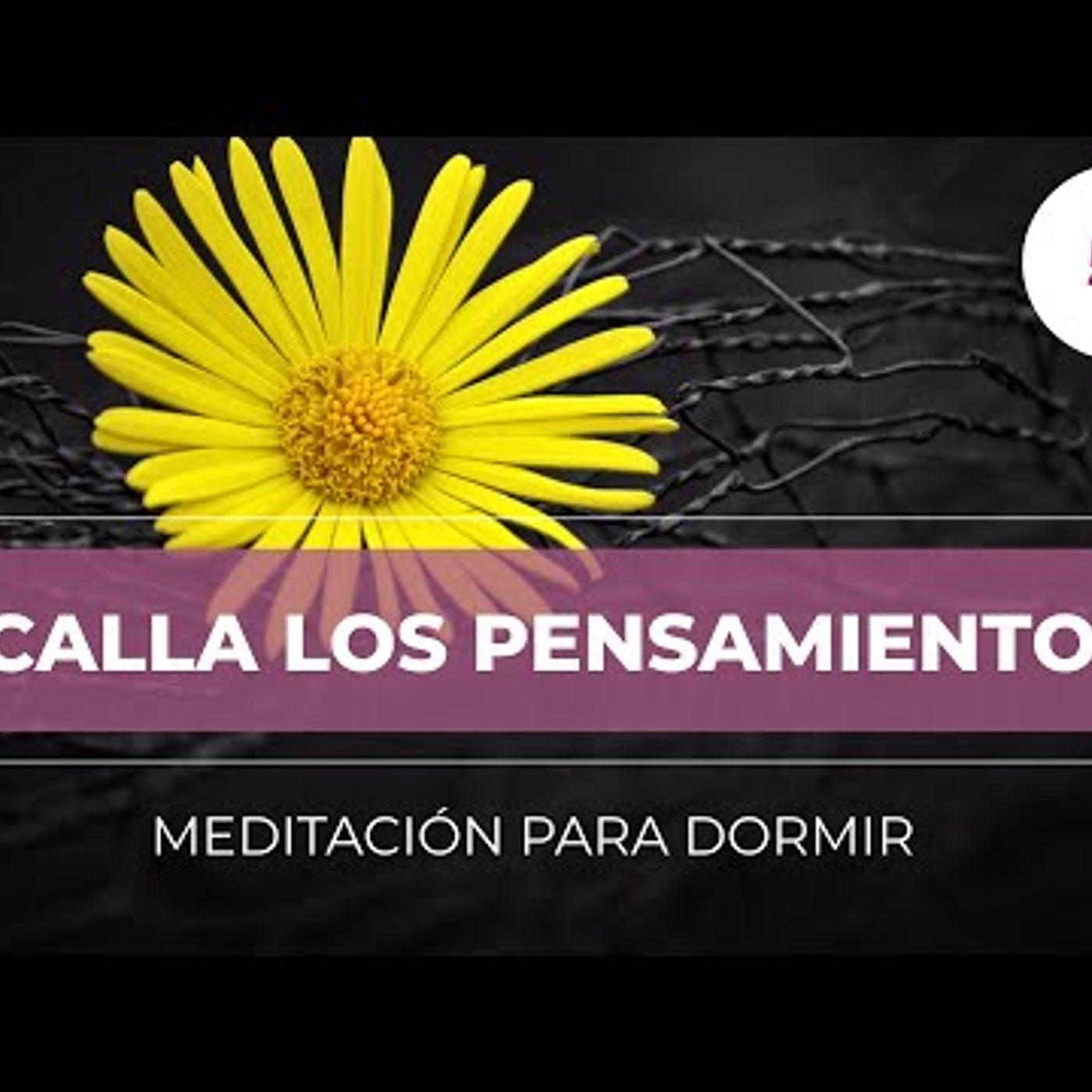 066. Meditación Mindfulness para Dormir Rápido 🌺 Calma Mental