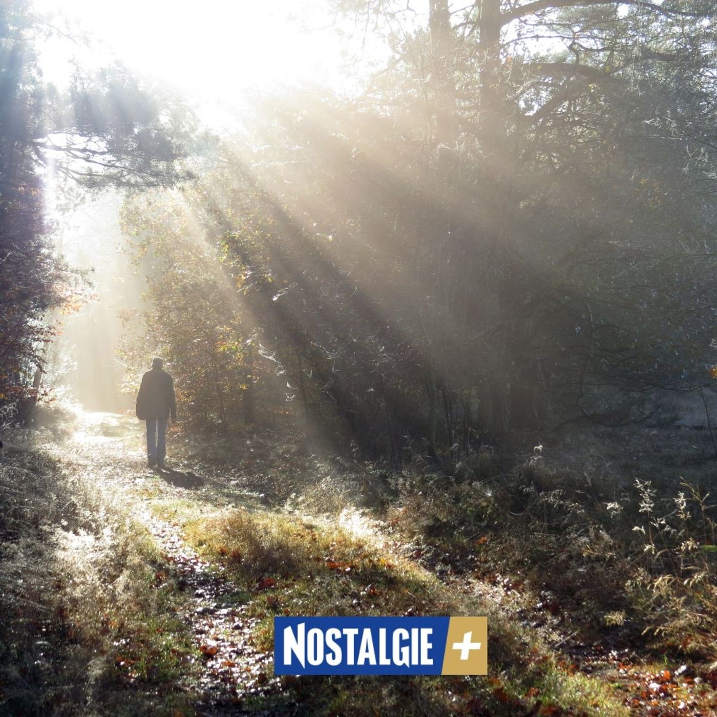 Reveil : quand la musique transforme les cimetières en lieux de partage et de réconfort episode artwork