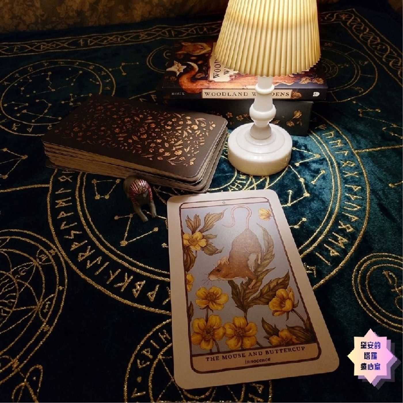 Ep664 - Diane's Tarot Diary: 我的塔羅日記💌每日牌卡傳訊•森林守護者神諭卡-小老鼠與毛茛花