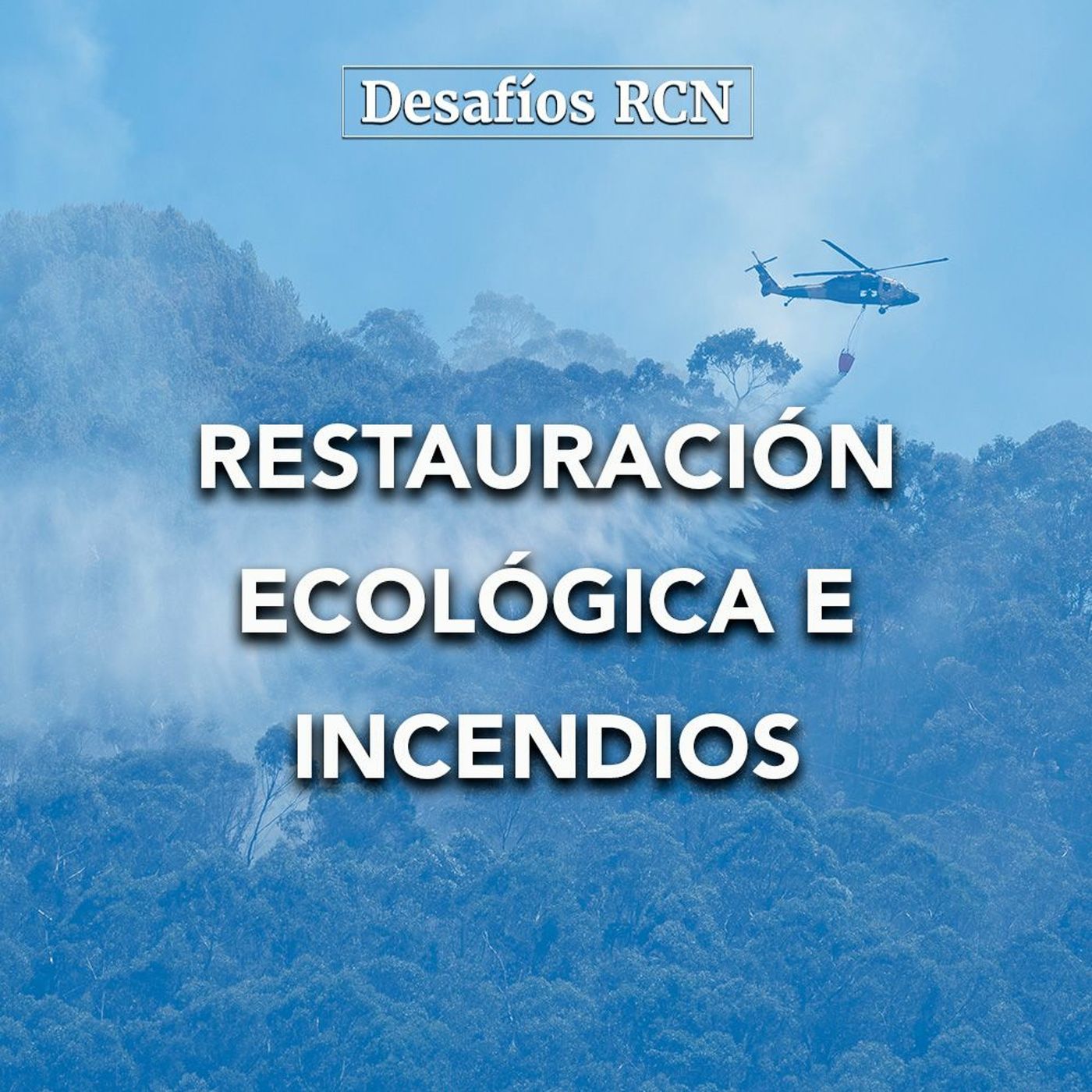 Restauración ecológica e incendios | Desafíos RCN-Javeriana episode artwork