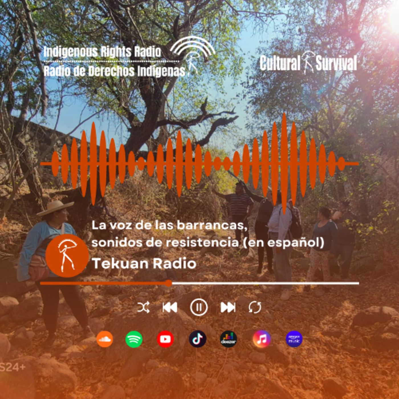 La voz de la barranca, sonidos de resistencia (en español)