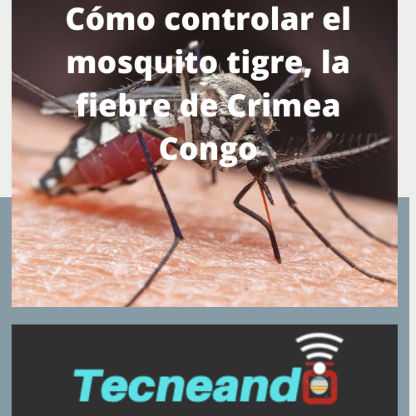 Tecneando