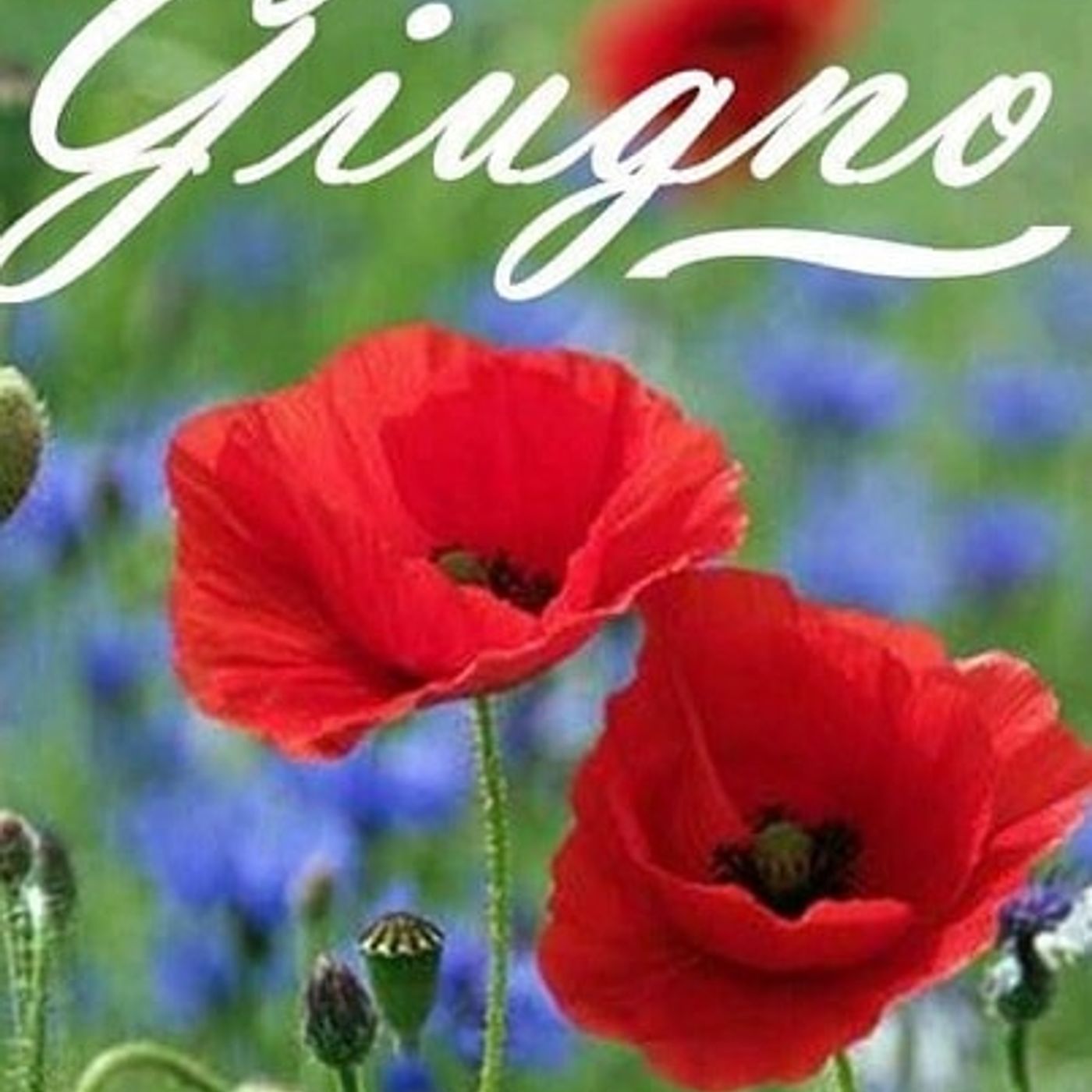 Meditazioni Giornaliere di Giugno