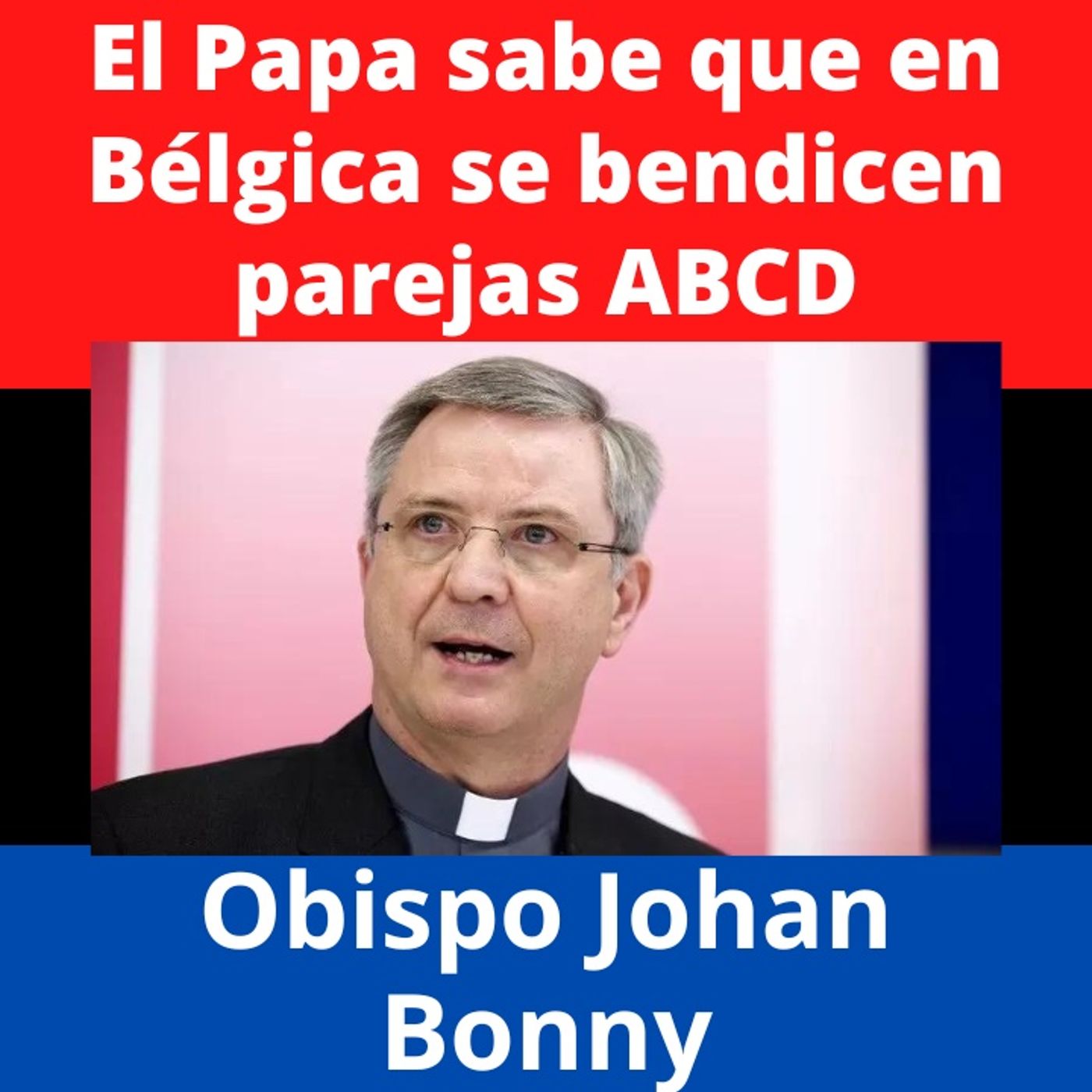 Obispo afirma que el Papa está enterado de bendición de parejas ABCD en Bélgica.
