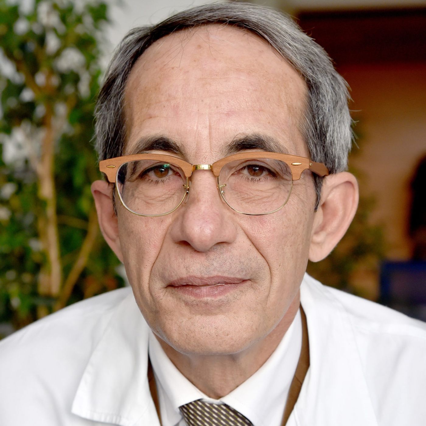 Cardiologia