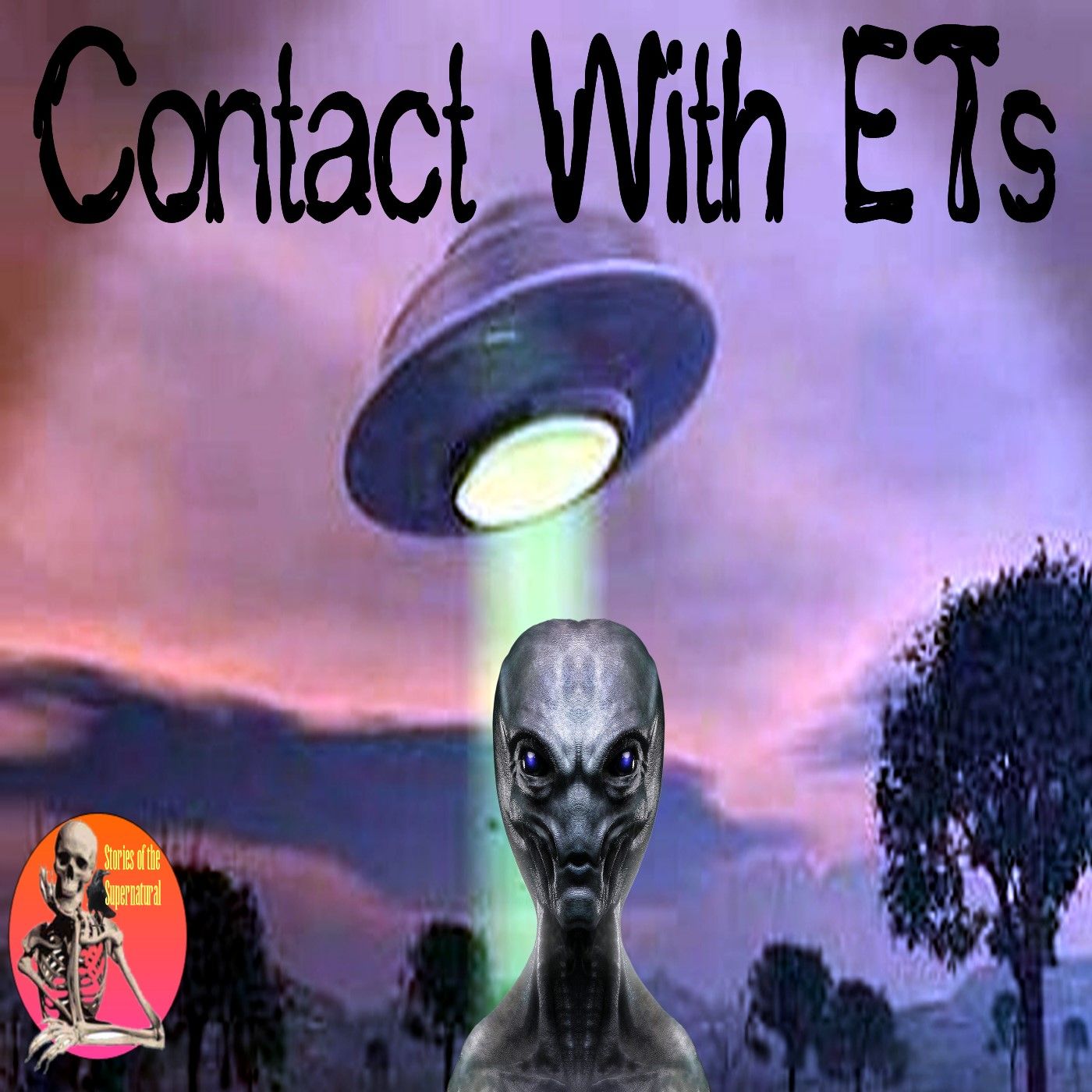 Contact with ETs | Interview with Stan Gordon | Podcast