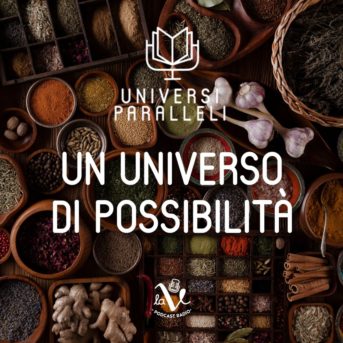 Universi Paralleli
