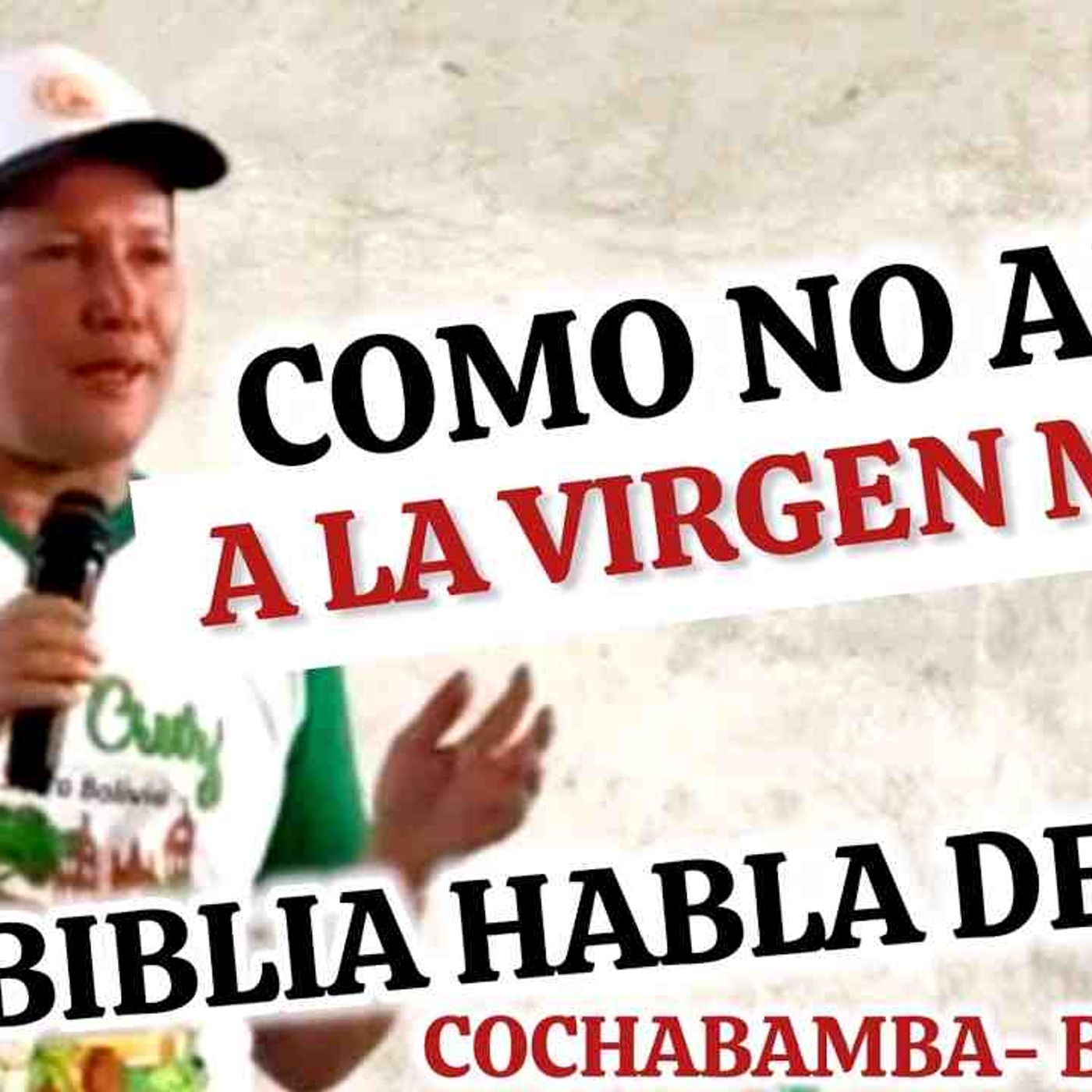 BOLIVIA🇧🇴Fue TESTIGO de La GRAN ENSEÑANZA del Padre Luis Toro😱TODO SOBRE LA VIRGEN MARÍA🙏🏼 _72-2025 episode artwork