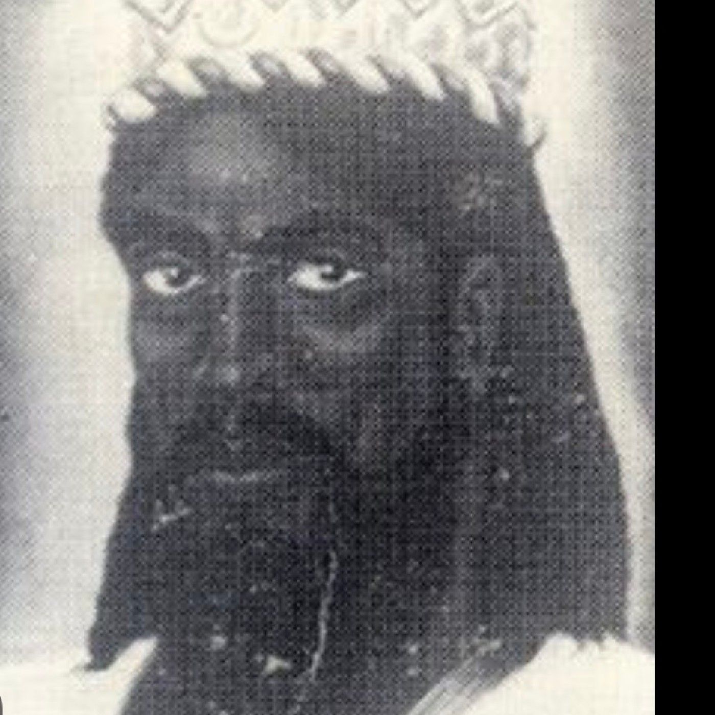 🤴🏿  J's podcast