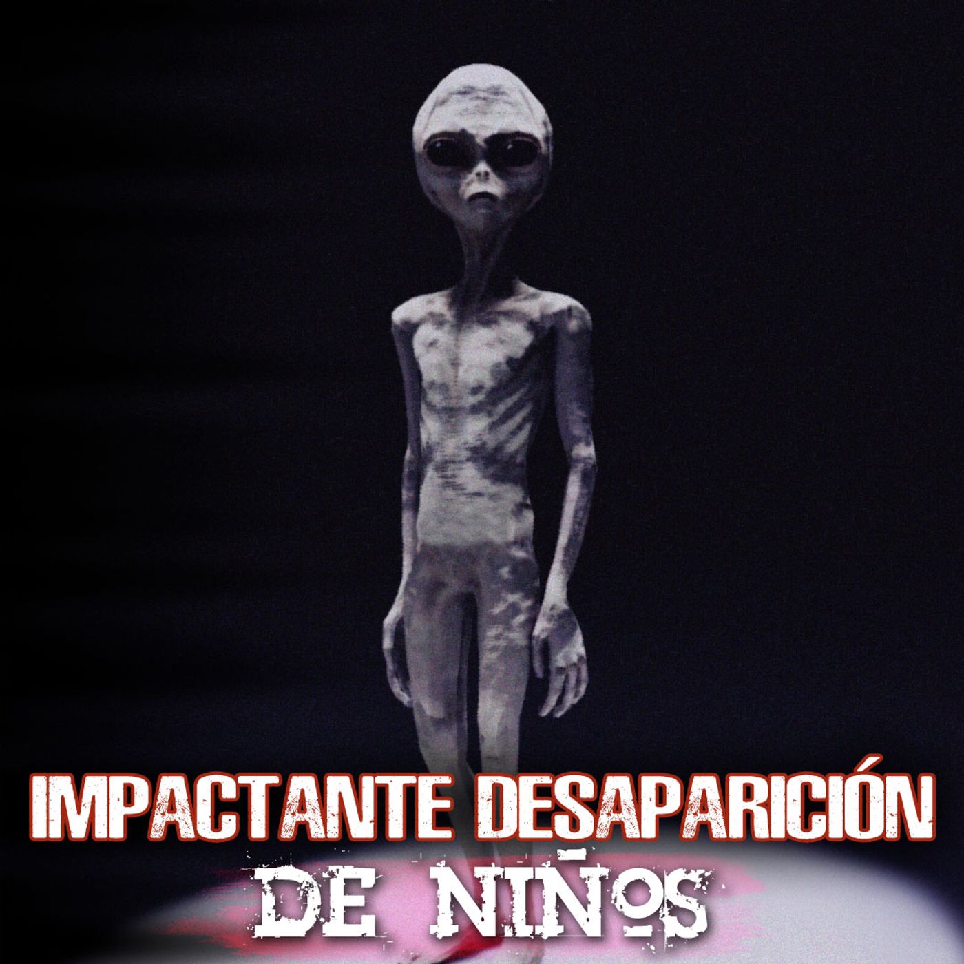 La impactante desaparición de niños episode artwork