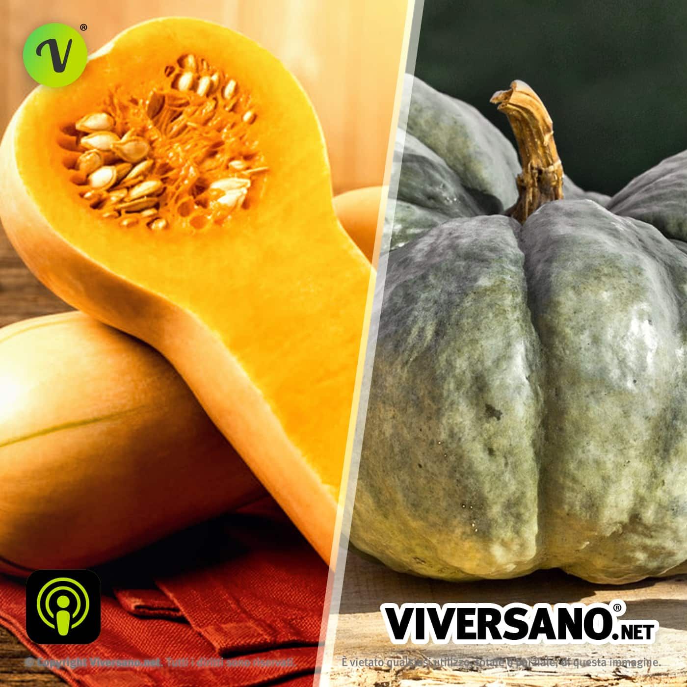 Imparare a Mangiar Sano