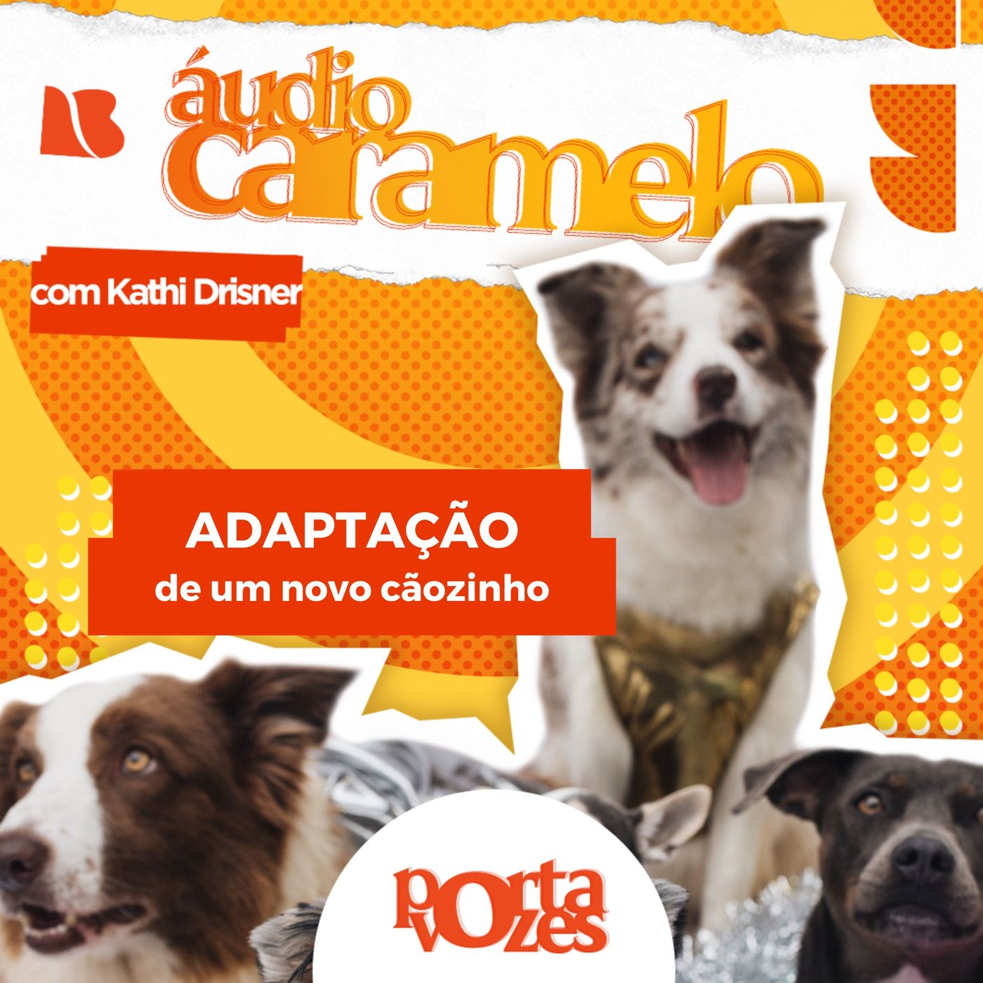 Dicas para adaptação de um novo cãozinho na família | Áudio Caramelo episode artwork