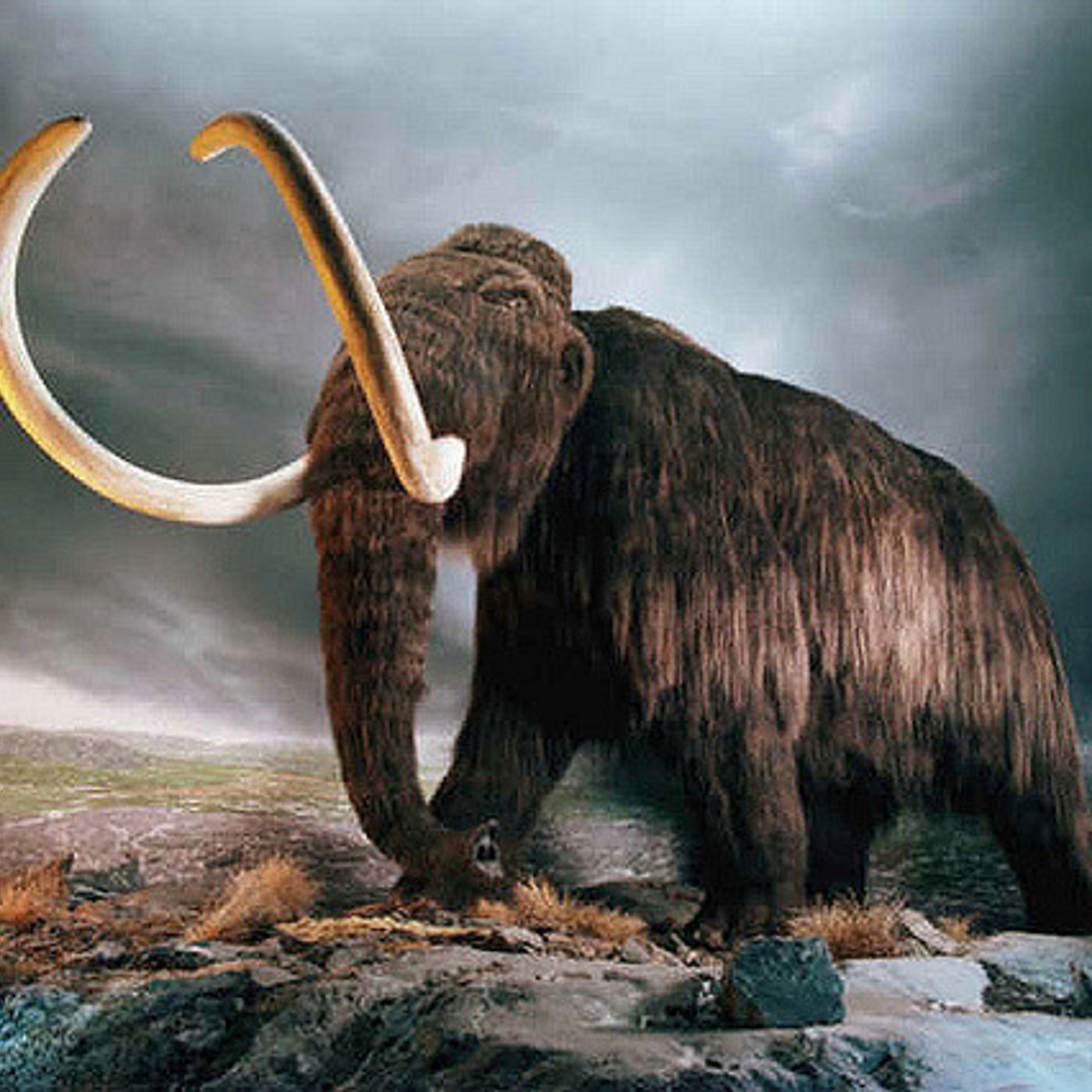 E.O.P. 15: Return of the Wooly Mammoth! episode artwork