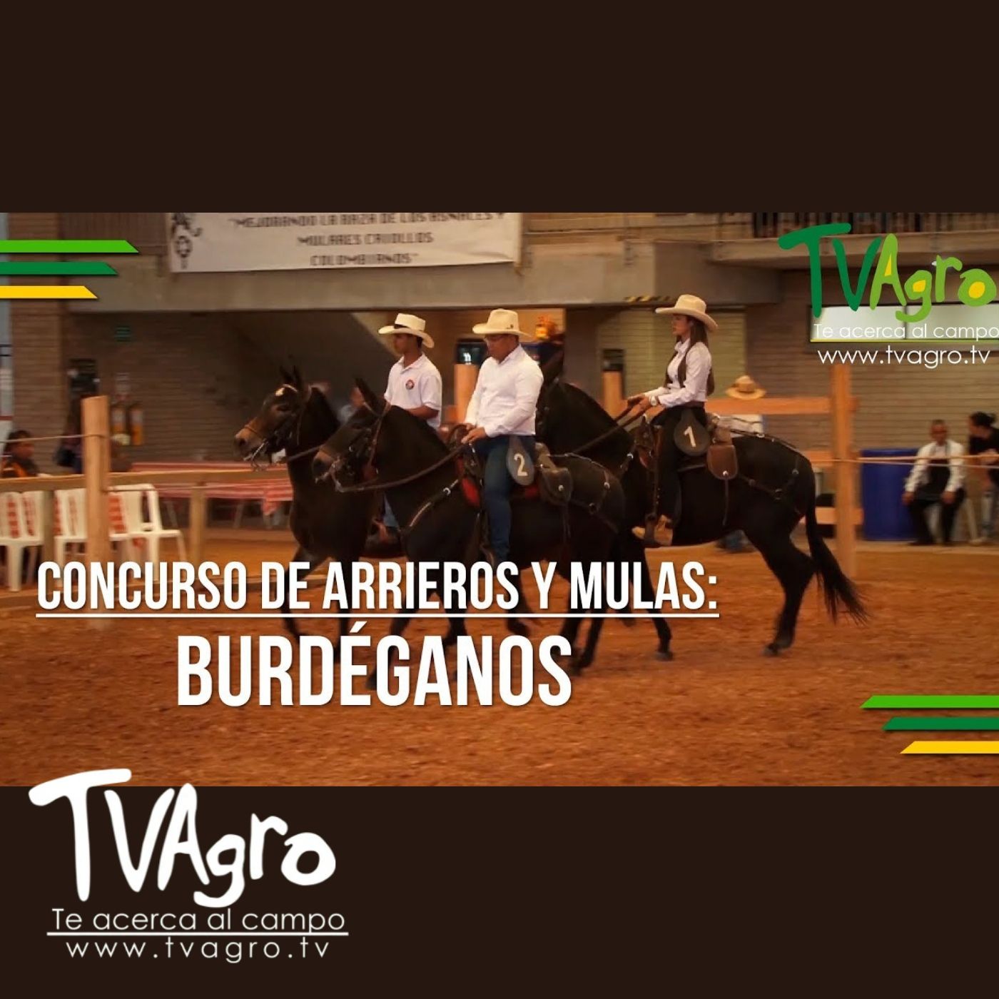 TV AGRO