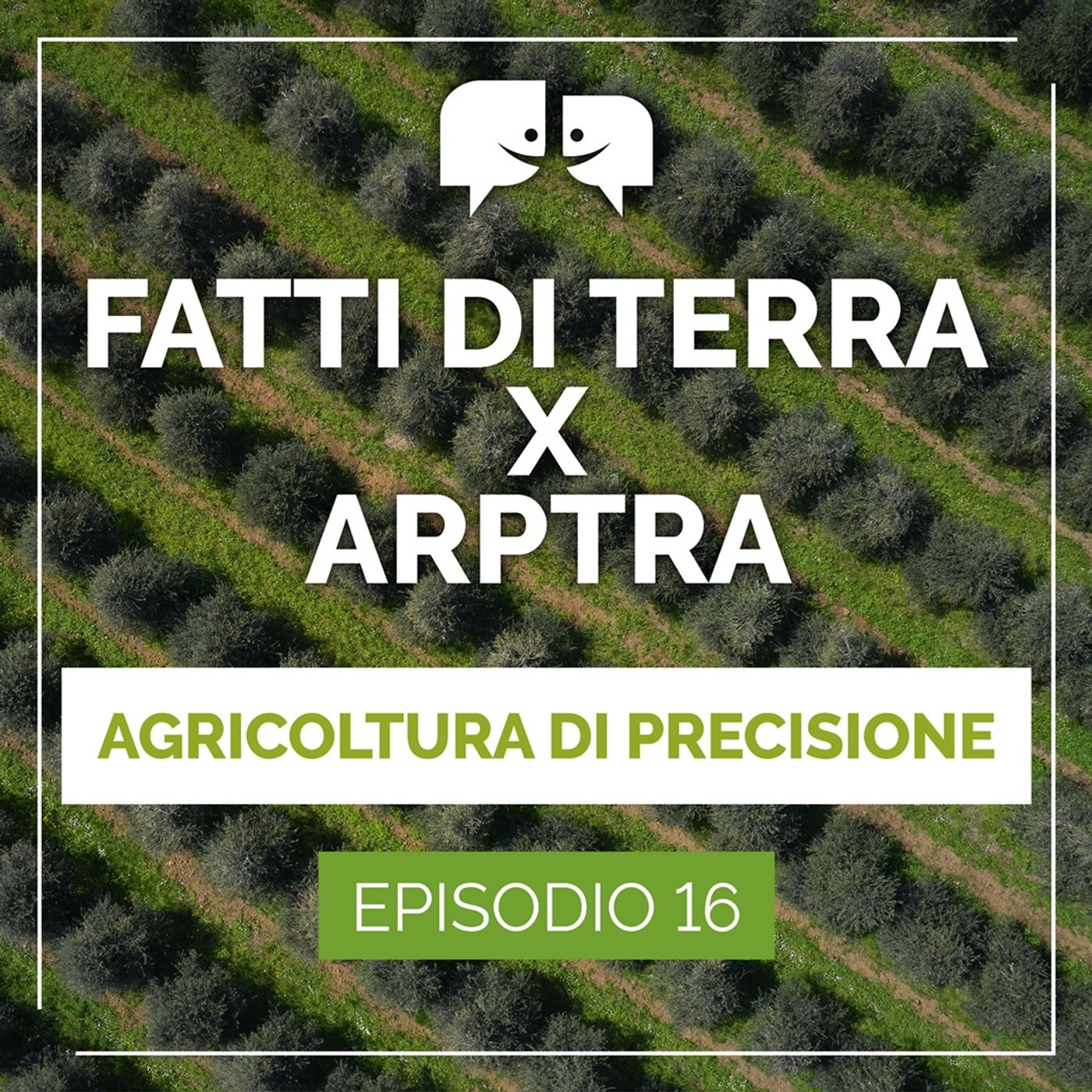 Fatti di terra