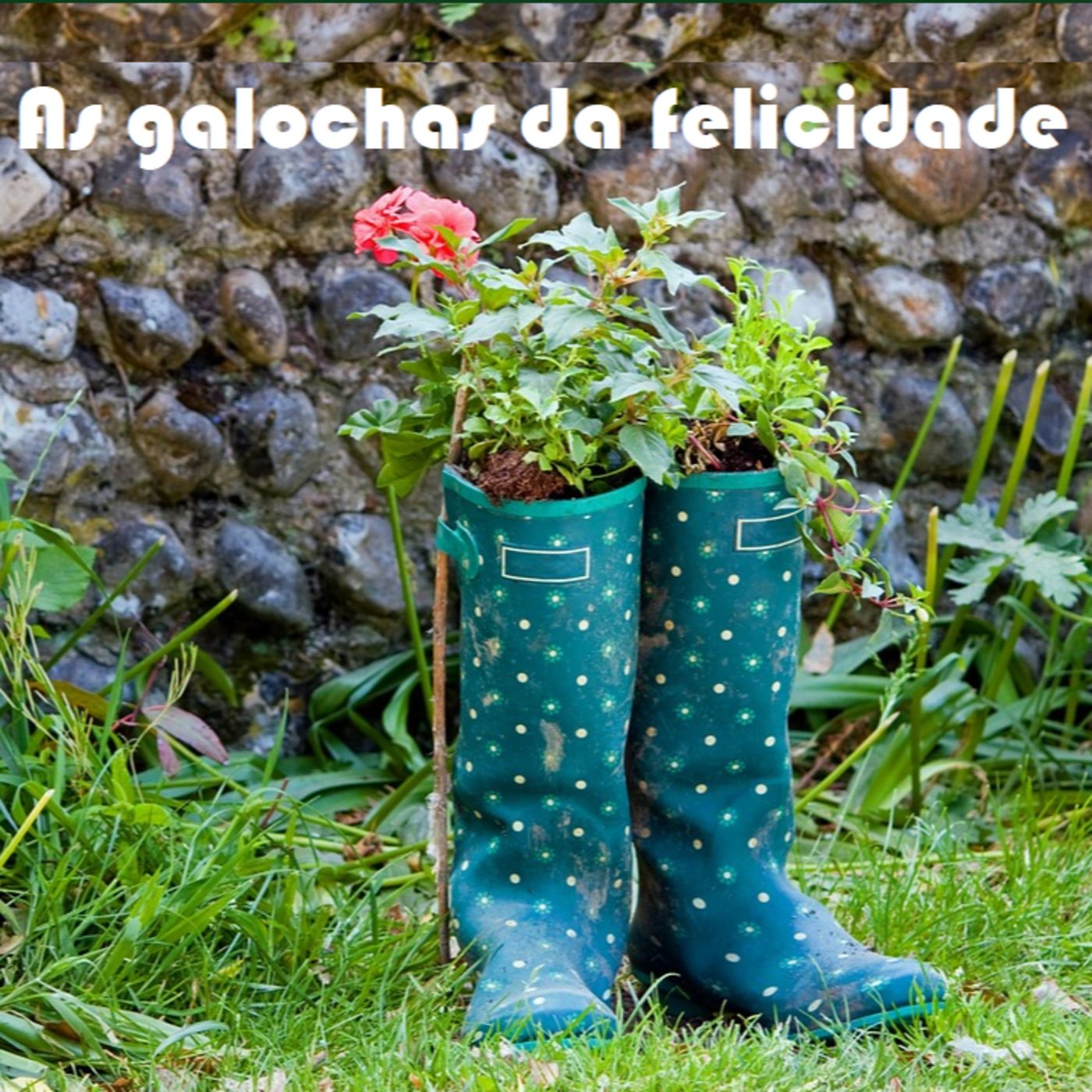 Contos Clássicos