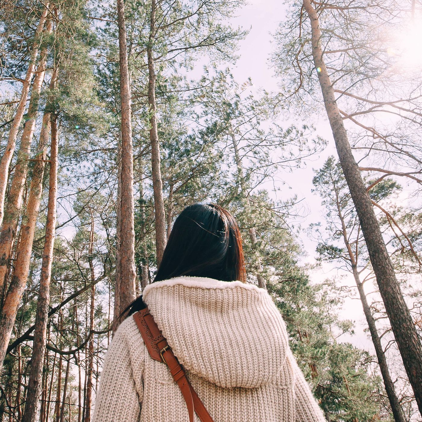 Spending time in a forest can boost health and lower stress. Here's how episode artwork