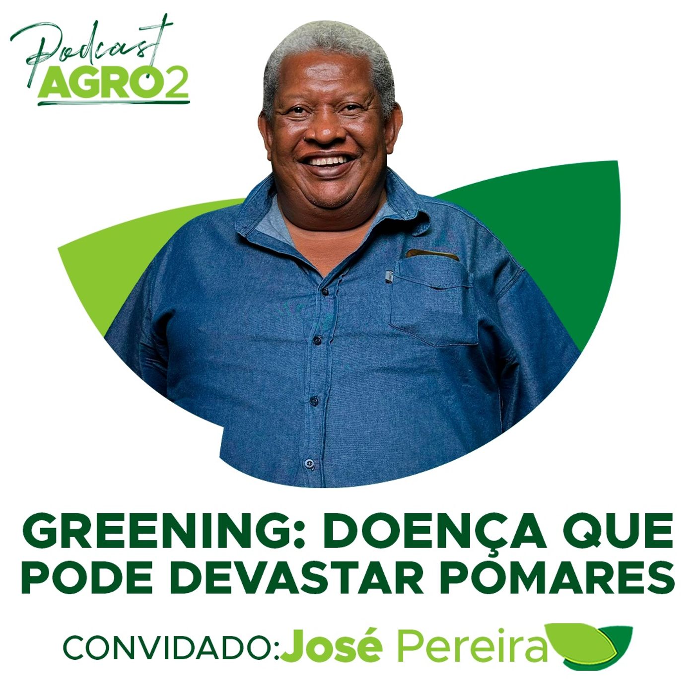 Como combater o greening, doença que pode devastar pomares #300 episode artwork