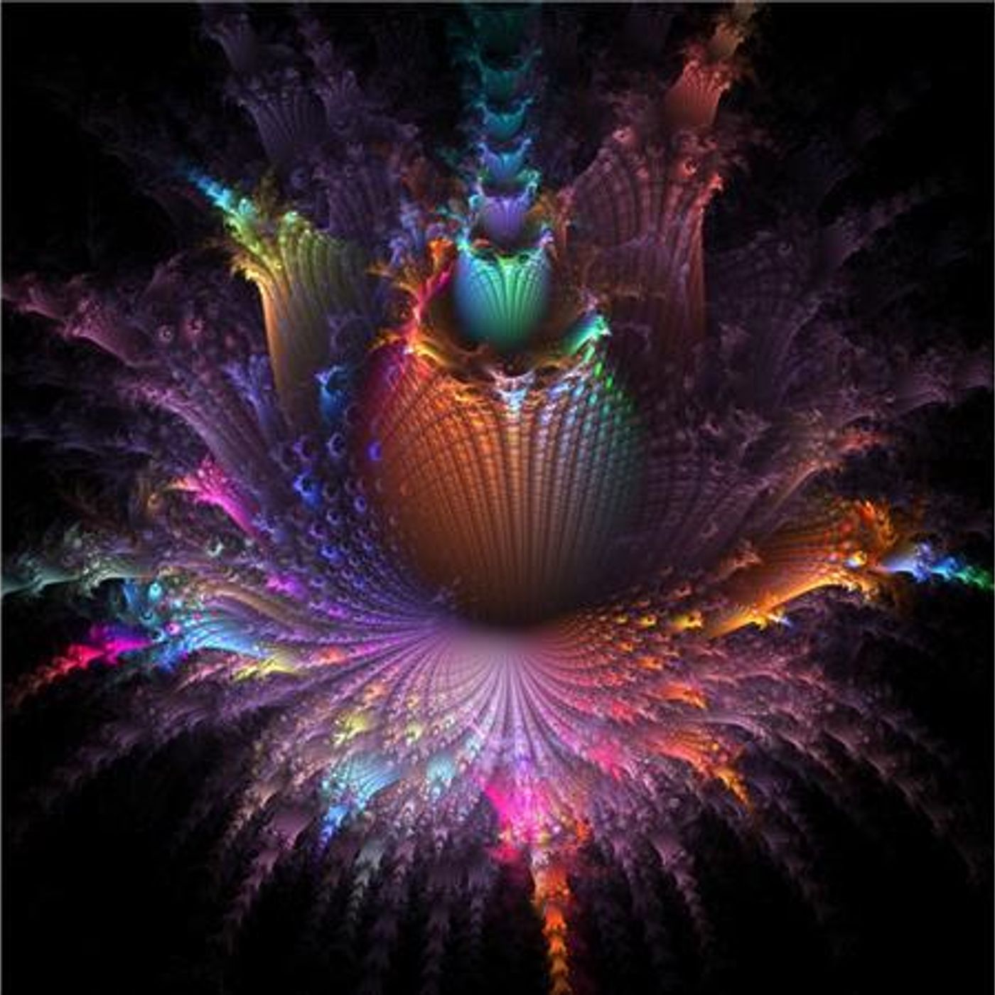 The Cosmic Citizen