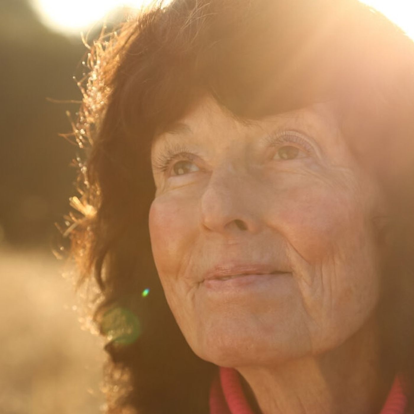 Linda Perhacs’ Friends Say Cult Singer-Songwriter Has ‘Gone Missing’
