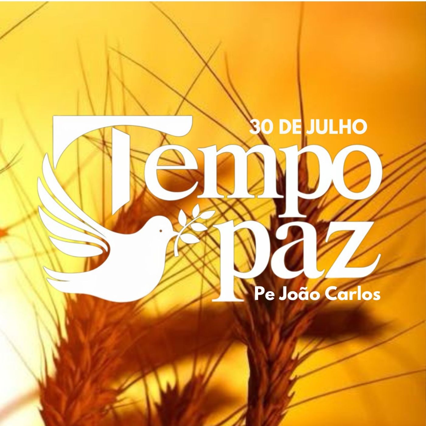 Pe. João Carlos - Meditação da Palavra