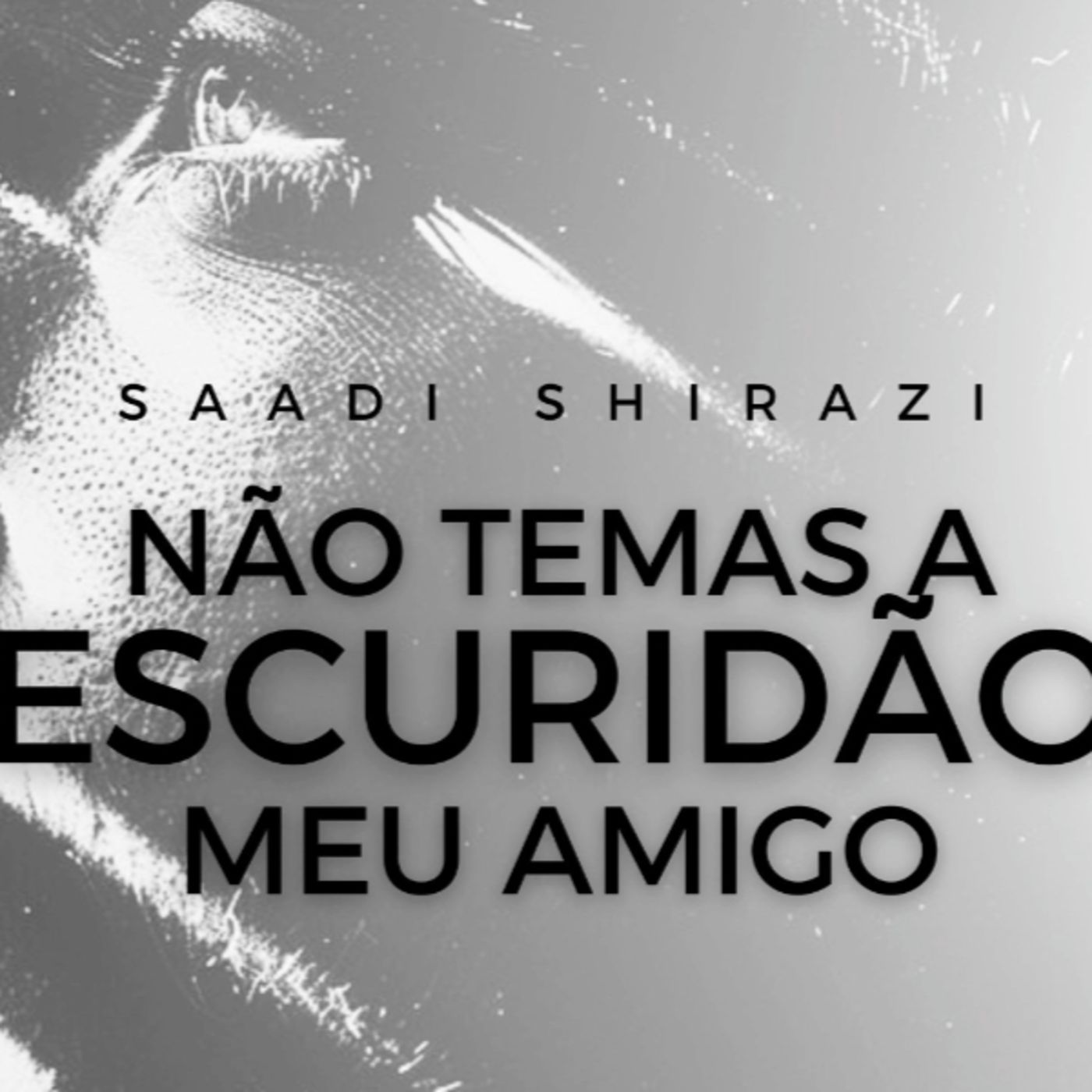 Adalberto Nascimento | Poesia e Recitação