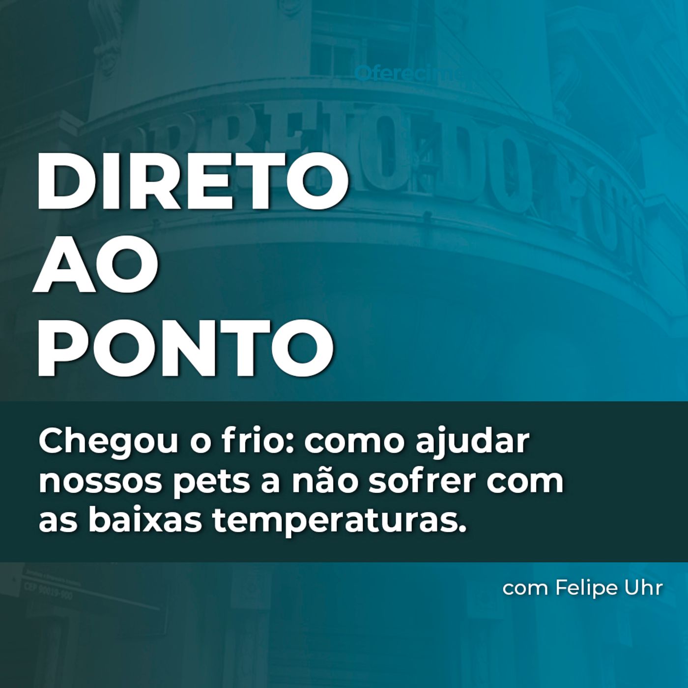 Chegou o frio: como ajudar nossos pets a não sofrer com as baixas temperaturas.