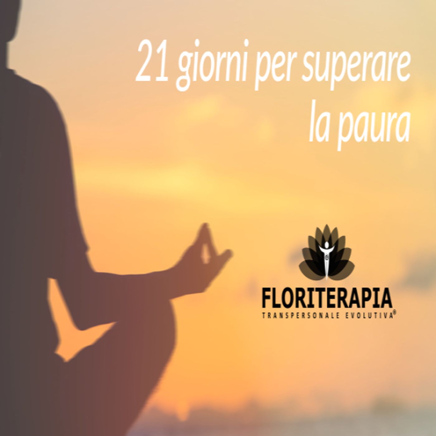 Visione Alchemica