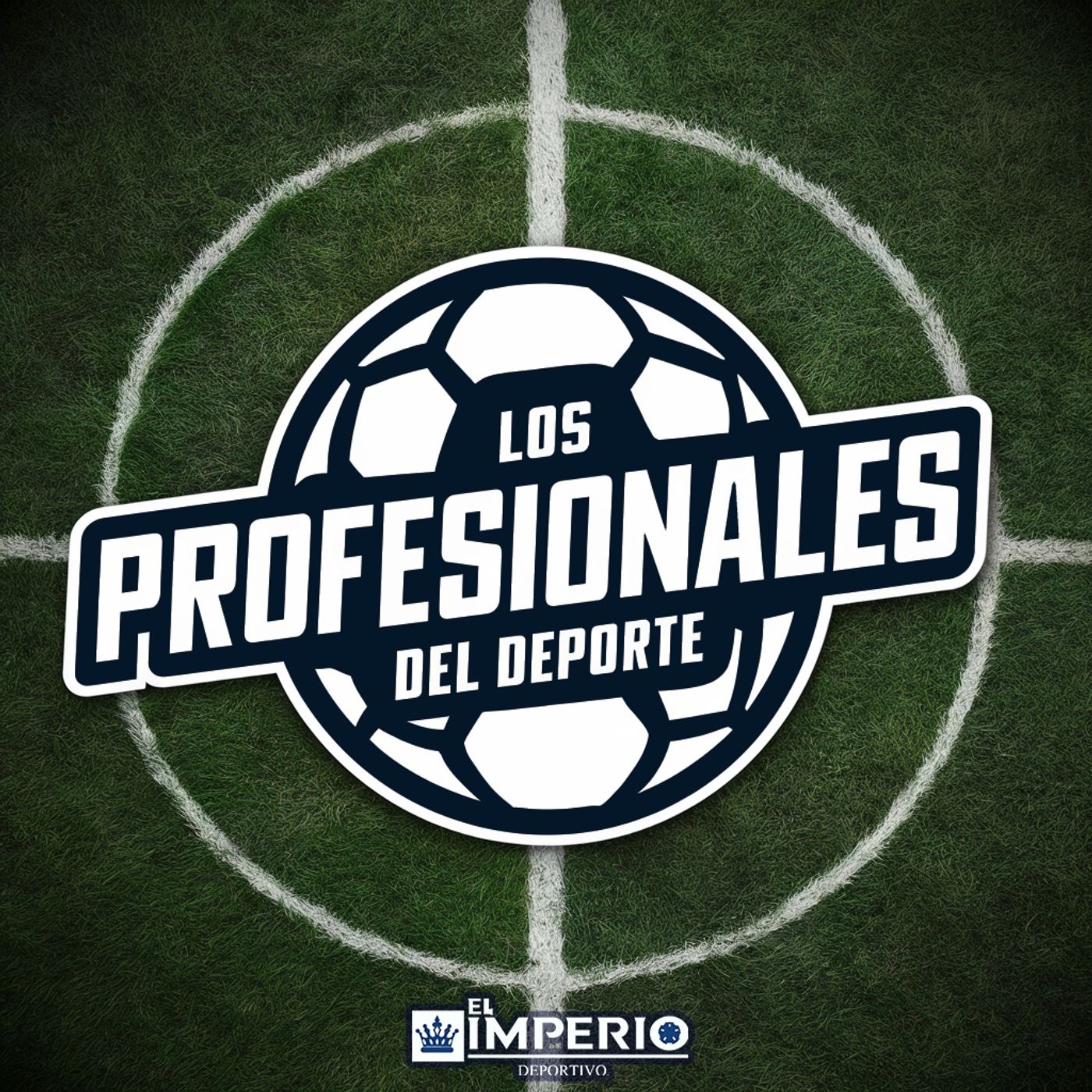 Los Profesionales del Deporte