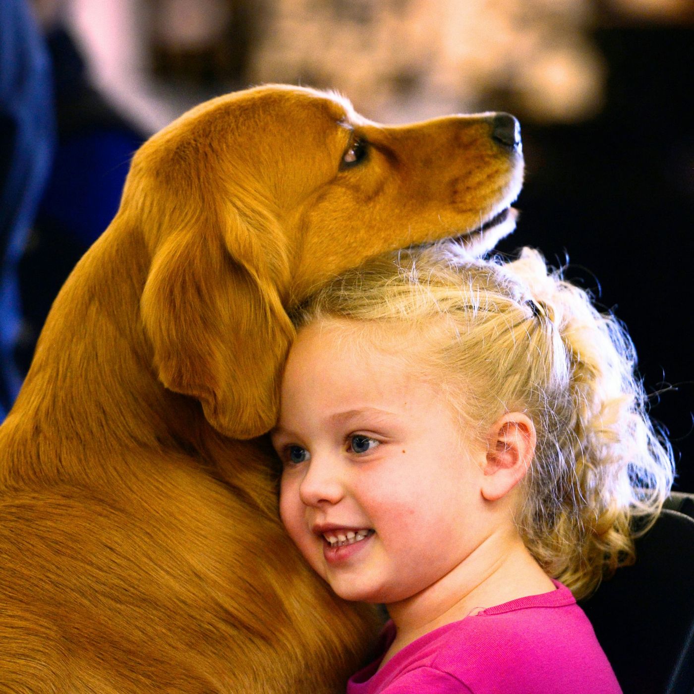 The cost of loving your pet