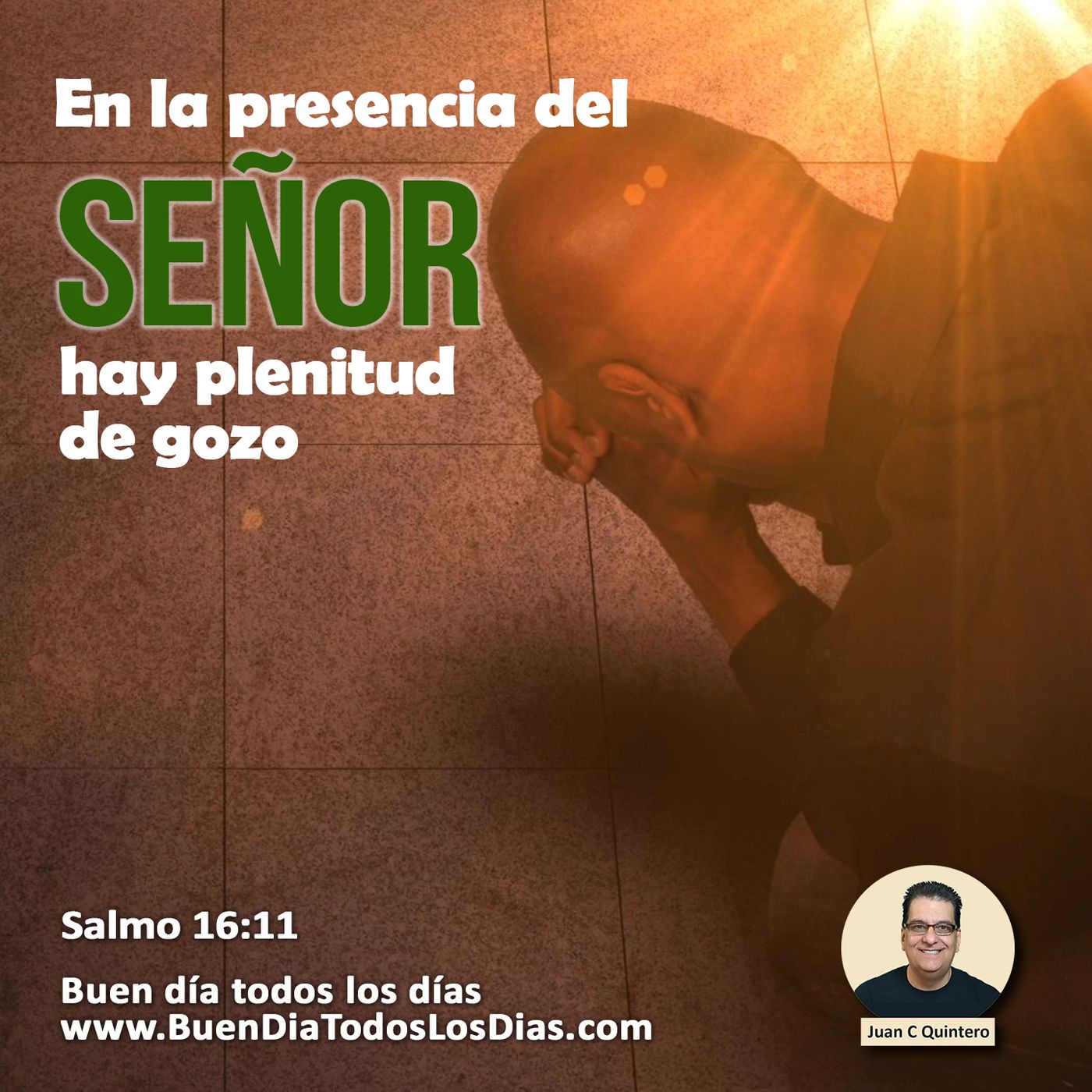 Estar en la presencia del Señor episode artwork