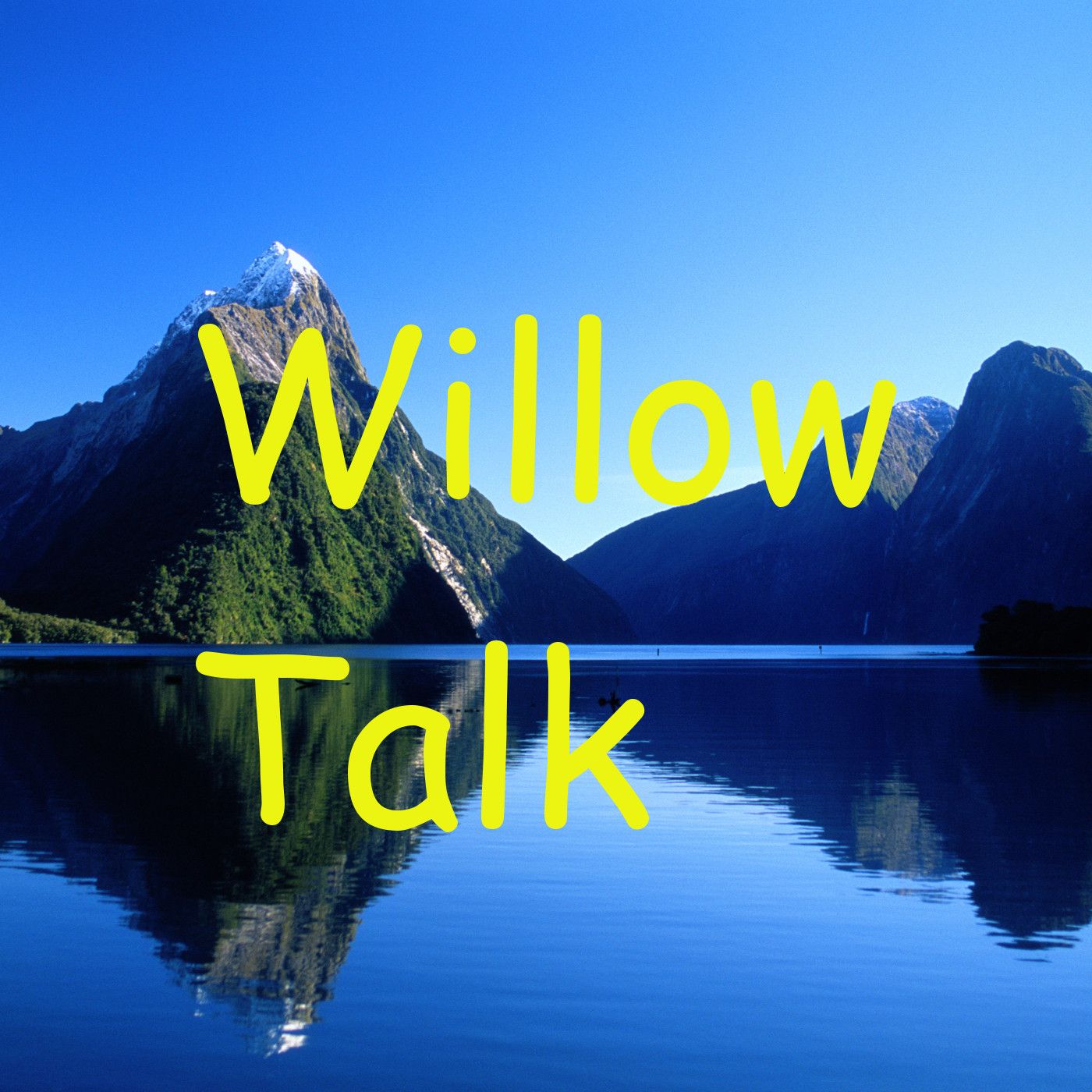Willow Talk