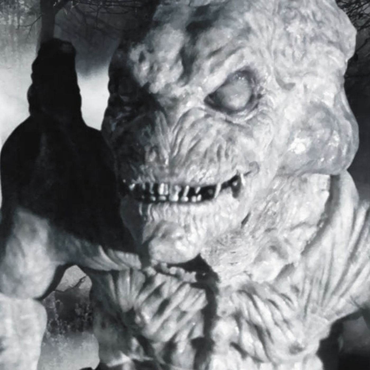 Nos Encontramos Con Un Gato Emplumado Historias De Terror - REDE