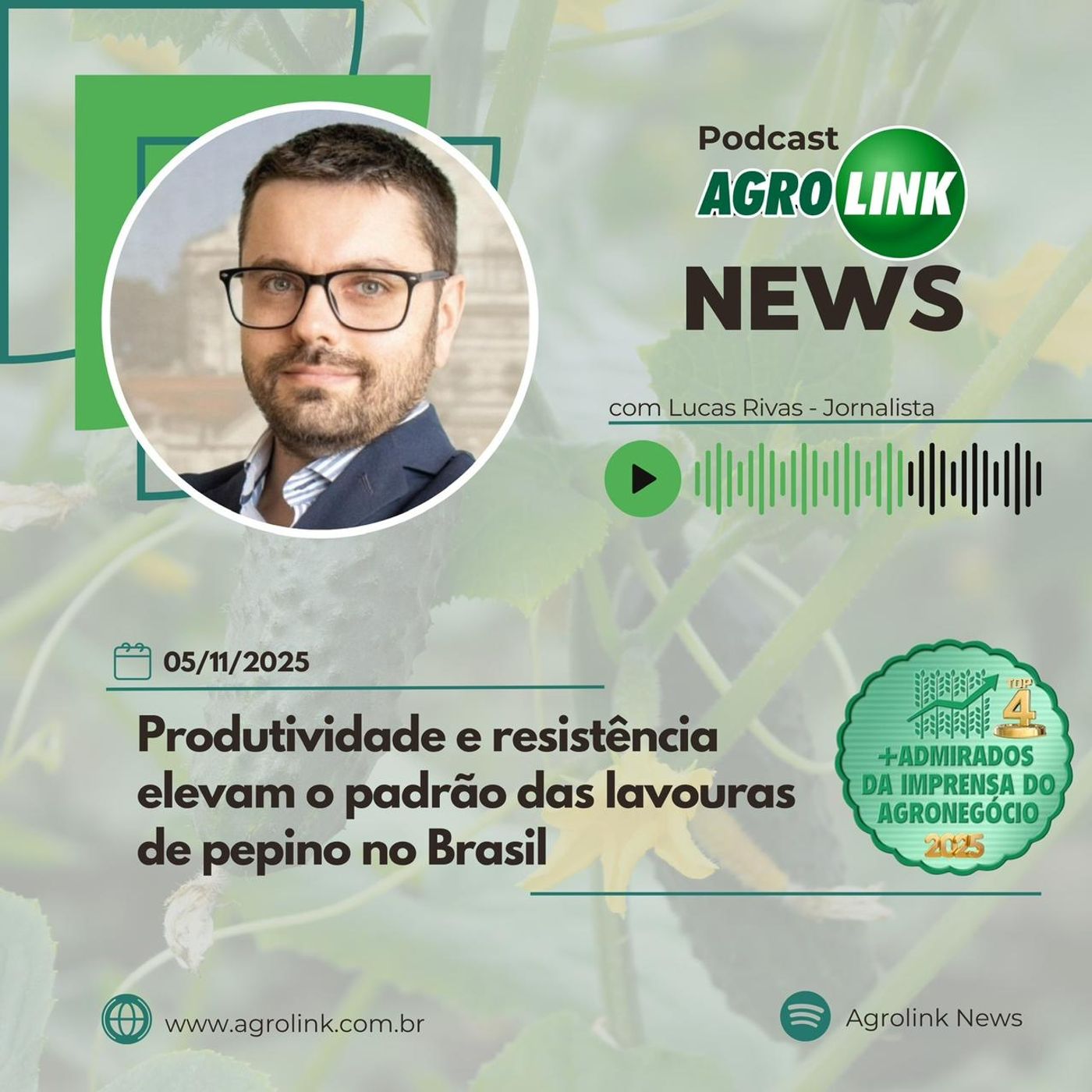 Safra de cevada deve bater recorde no Brasil em 2025