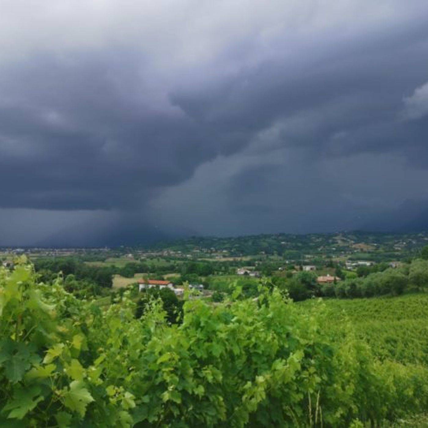 Allerta arancione per temporali in Veneto. Tregua dal caldo da sabato episode artwork
