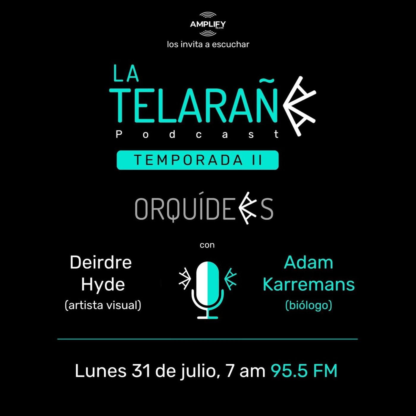 Portada de La Telaraña