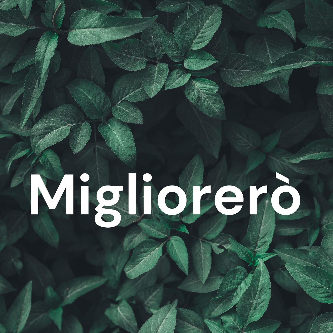 Migliorerò