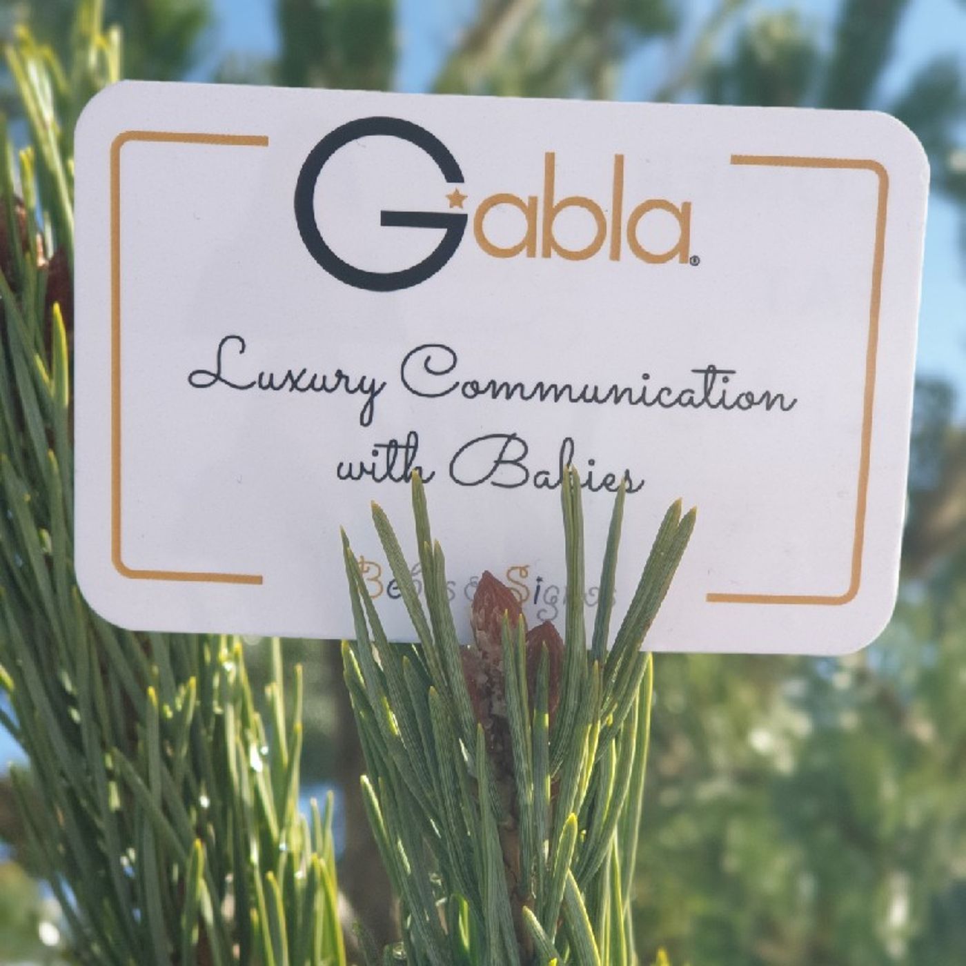 El Método Gabla